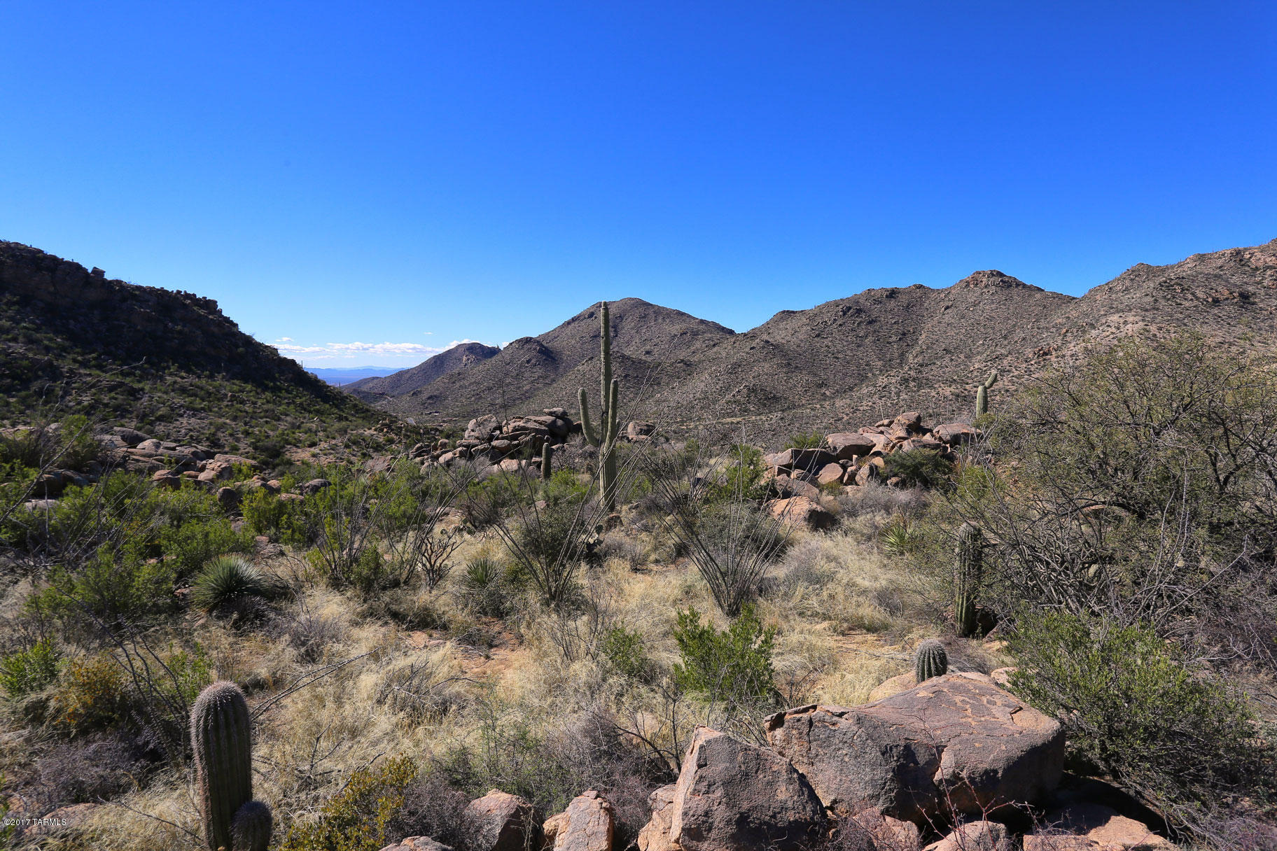 Canyon Pass V At Dove Mountain (280-331) - Land