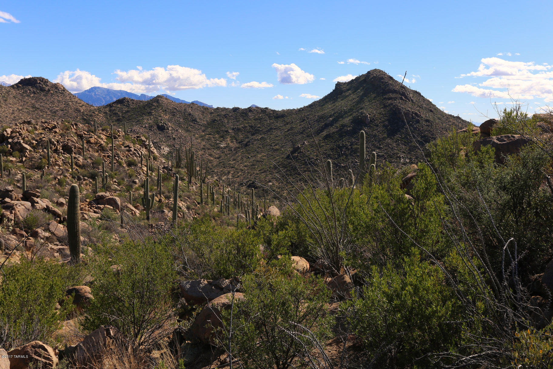 Canyon Pass V At Dove Mountain (280-331) - Land