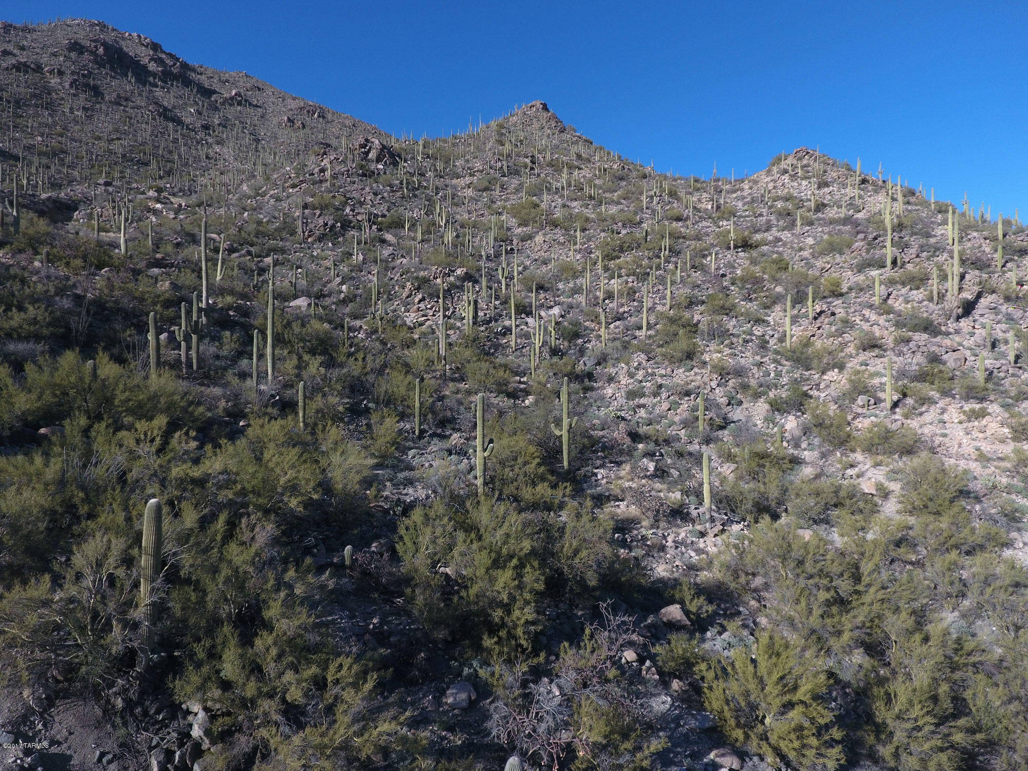 Canyon Pass V At Dove Mountain (280-331) - Land