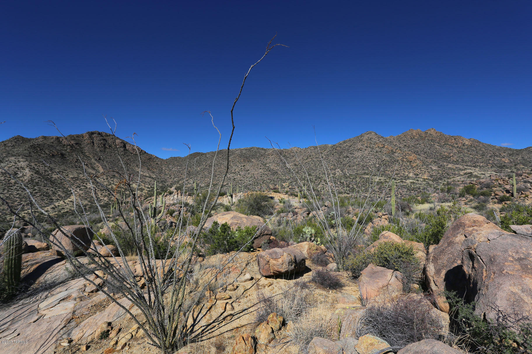Canyon Pass V At Dove Mountain (280-331) - Land
