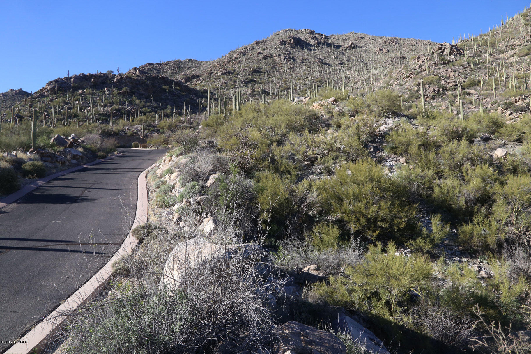 Canyon Pass V At Dove Mountain (280-331) - Land