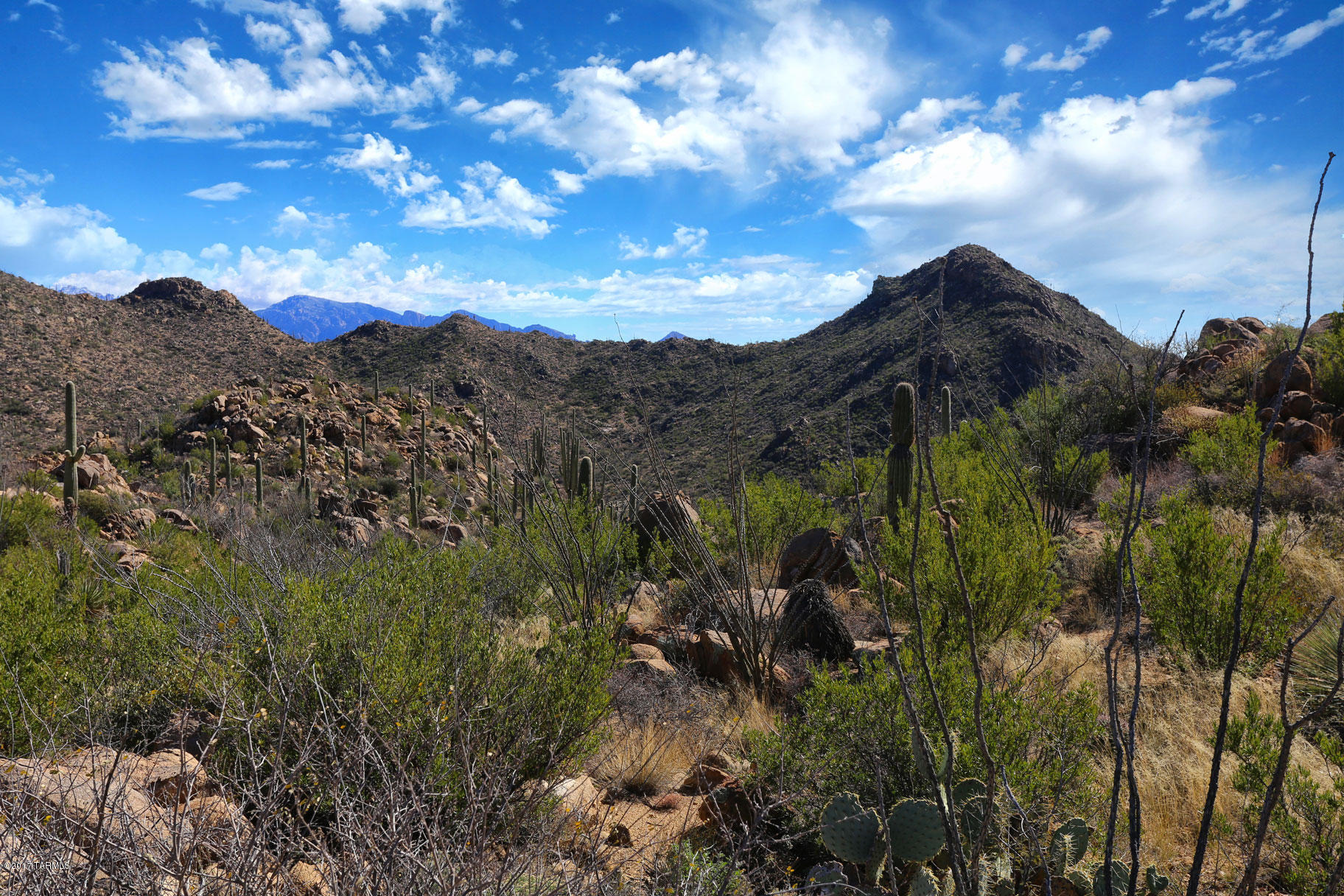 Canyon Pass V At Dove Mountain (280-331) - Land