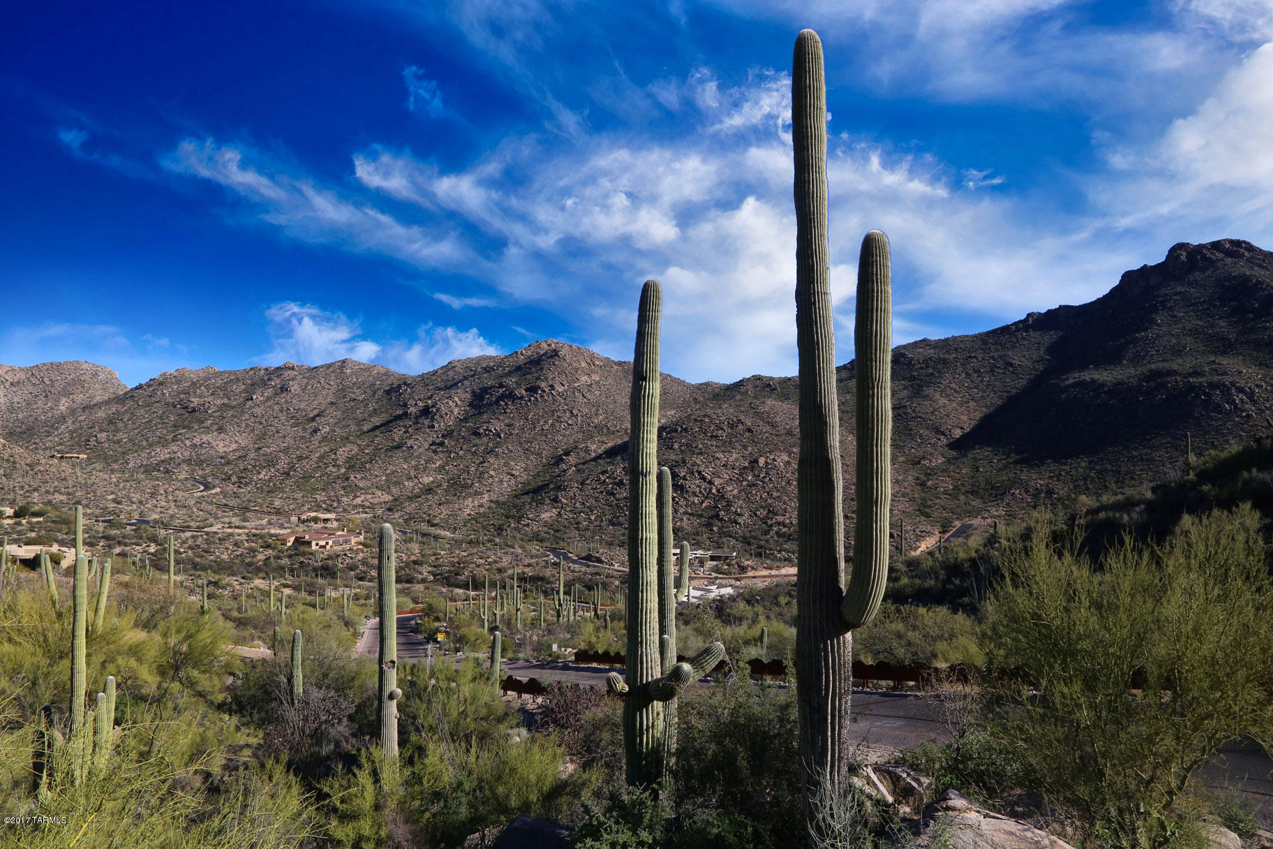 Truly one of the best valued lots in Canyon Pass featuring City Lights, Catalina Mountain Views, a great easy building envelope and backs to open space giving you privacy and a sense that you own the entire mountain range!  Close to spectacular golf courses at The Gallery and Ritz Carlton.   Seller will consider a bulk purchase with several other lots in the subdivision - call for details.