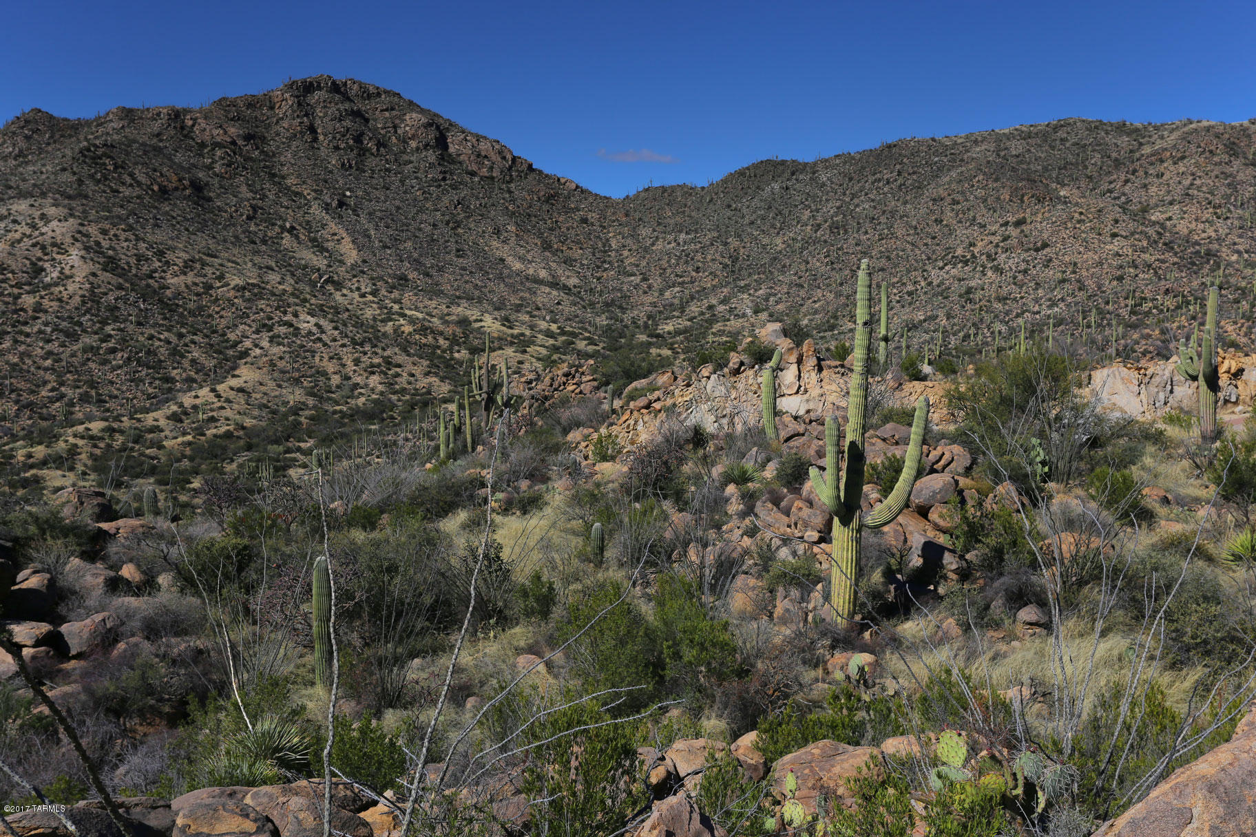 Canyon Pass V At Dove Mountain (280-331) - Land