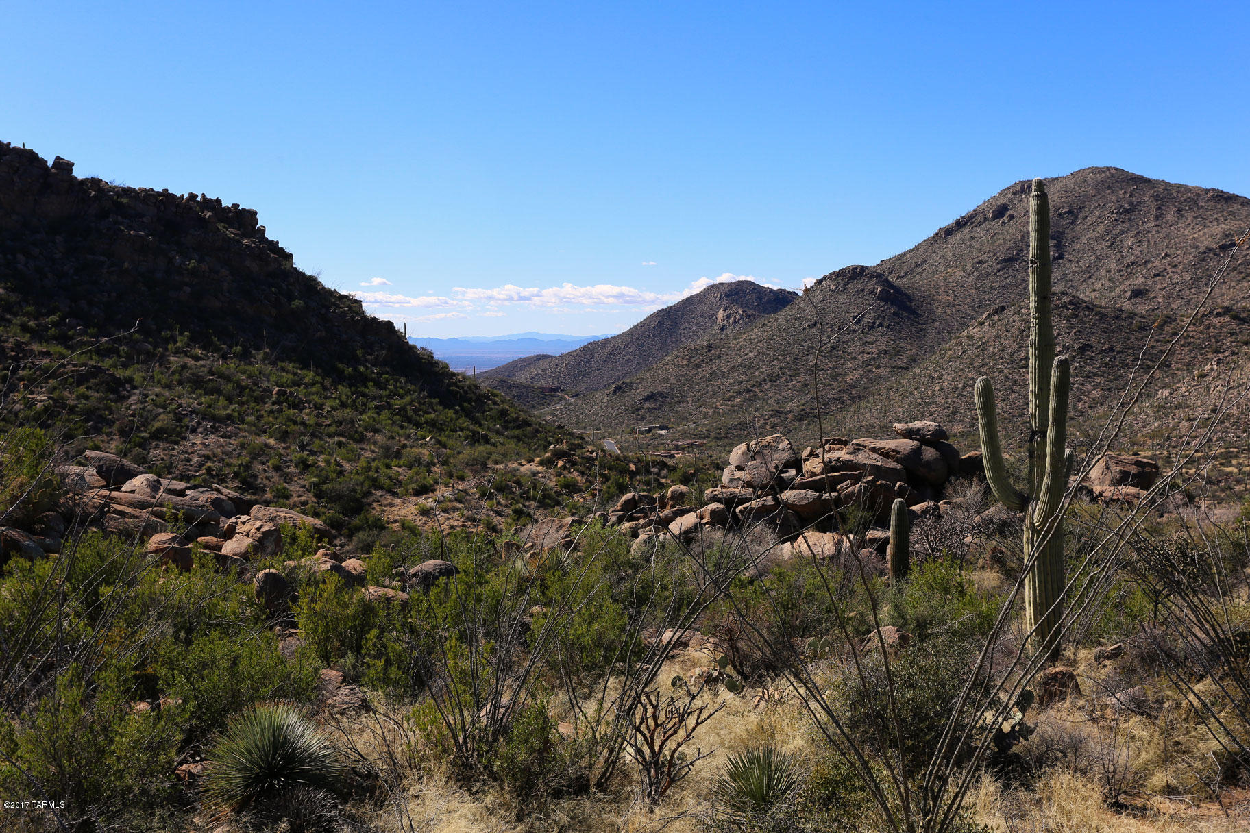 Canyon Pass V At Dove Mountain (280-331) - Land