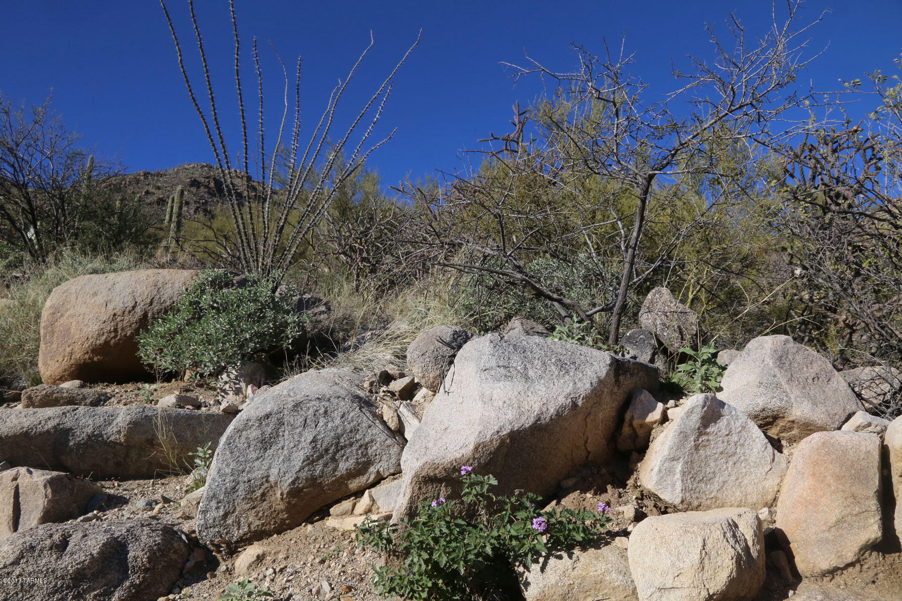 Canyon Pass V At Dove Mountain (280-331) - Land