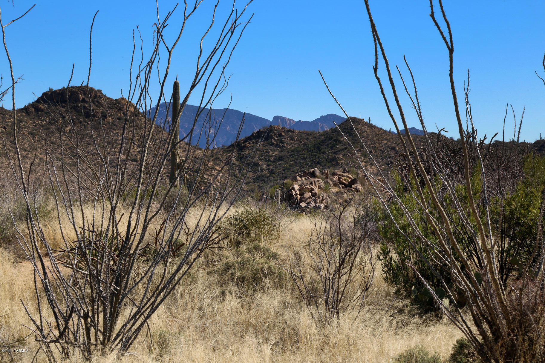 Canyon Pass V At Dove Mountain (280-331) - Land