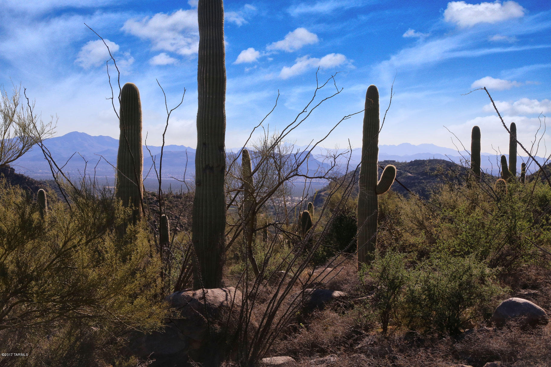 Canyon Pass V At Dove Mountain (280-331) - Land