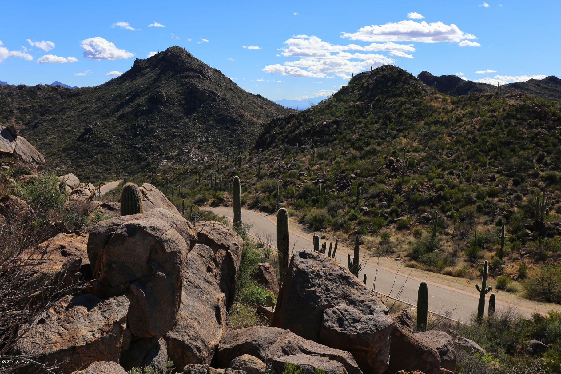 Canyon Pass V At Dove Mountain (280-331) - Land