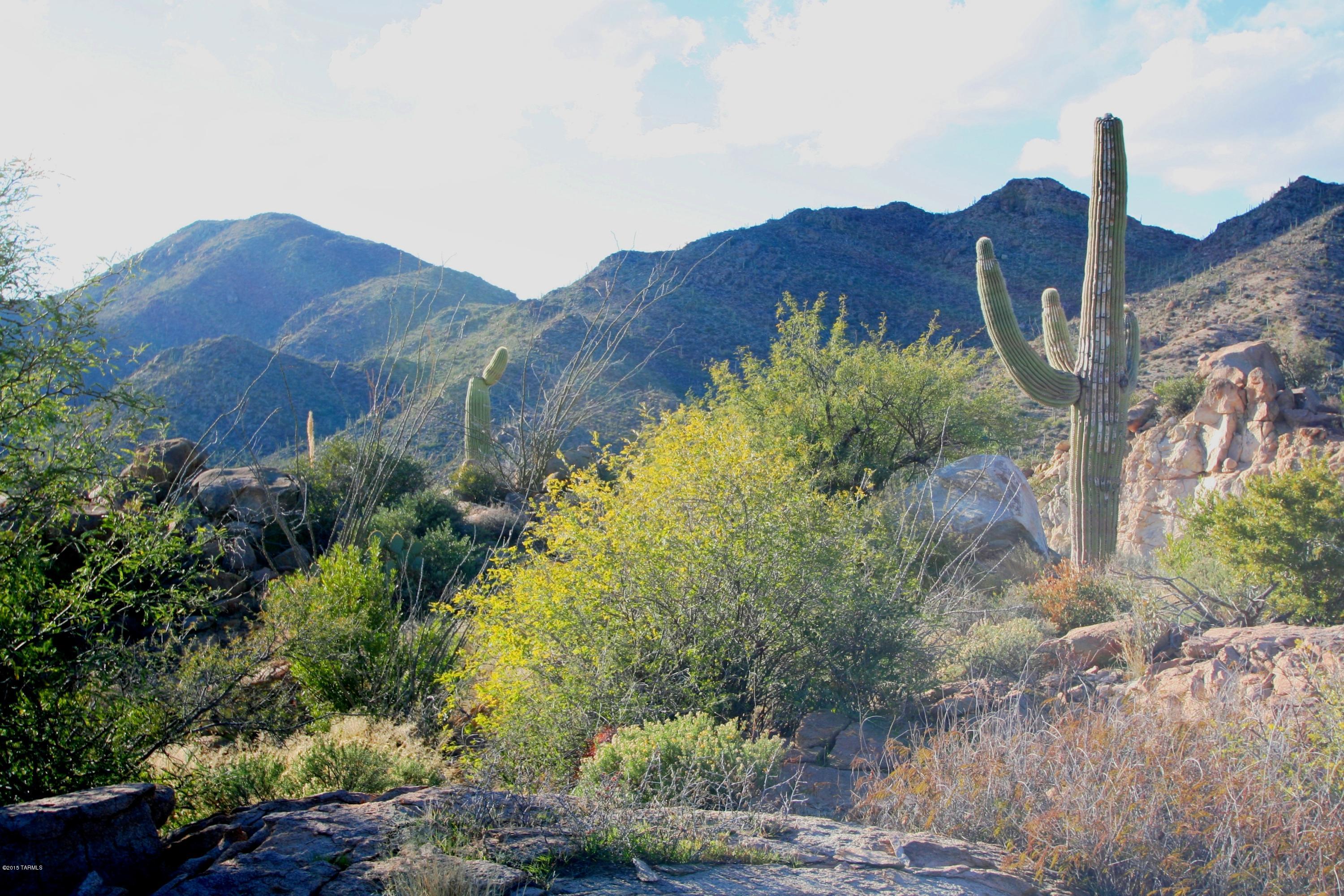 Canyon Pass V At Dove Mountain (280-331) - Land