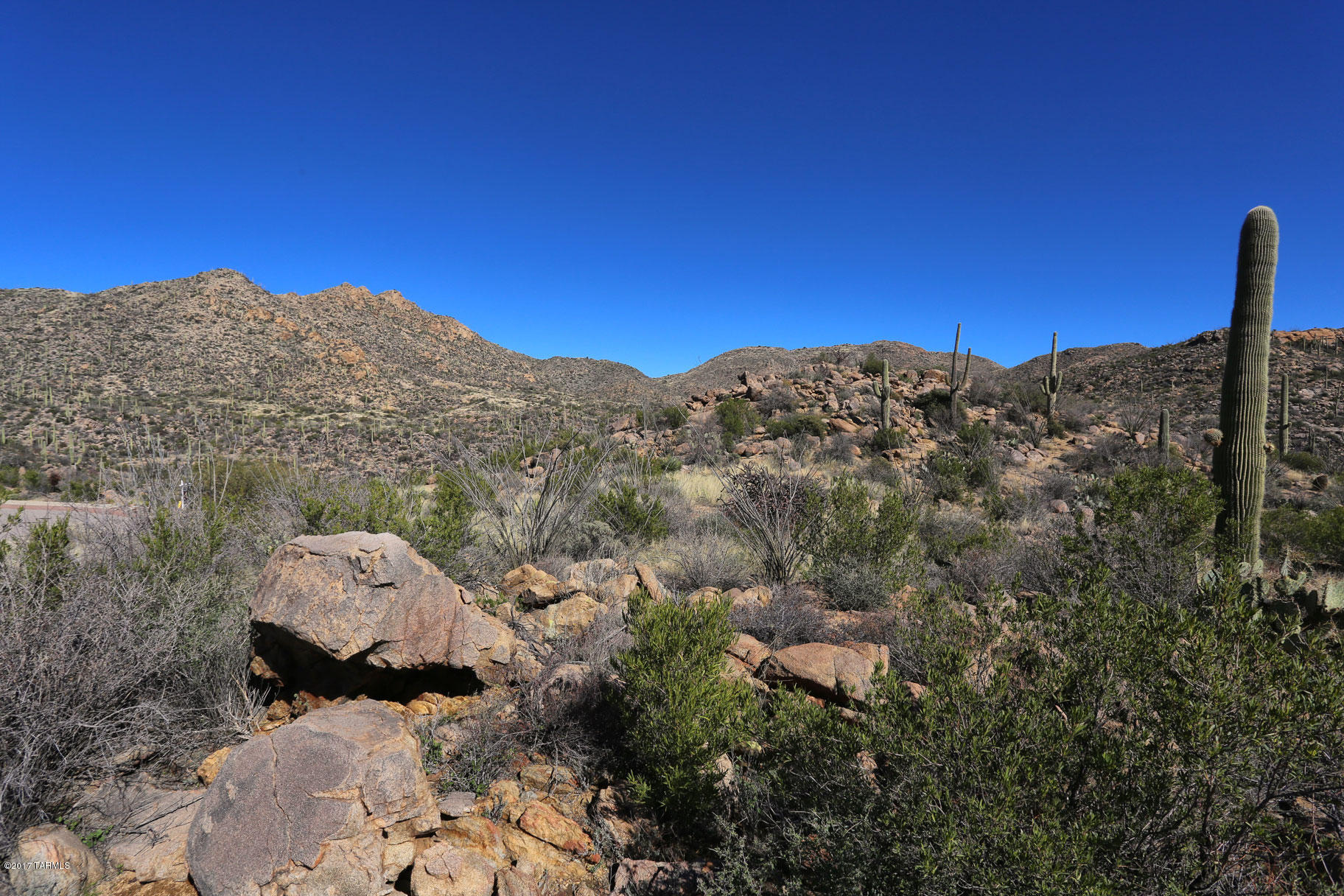 Canyon Pass V At Dove Mountain (280-331) - Land