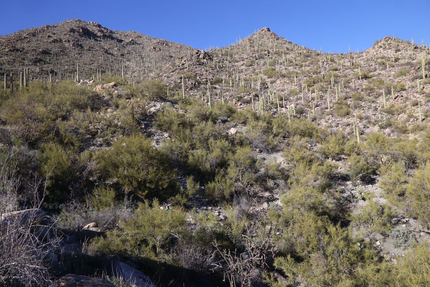 Canyon Pass V At Dove Mountain (280-331) - Land