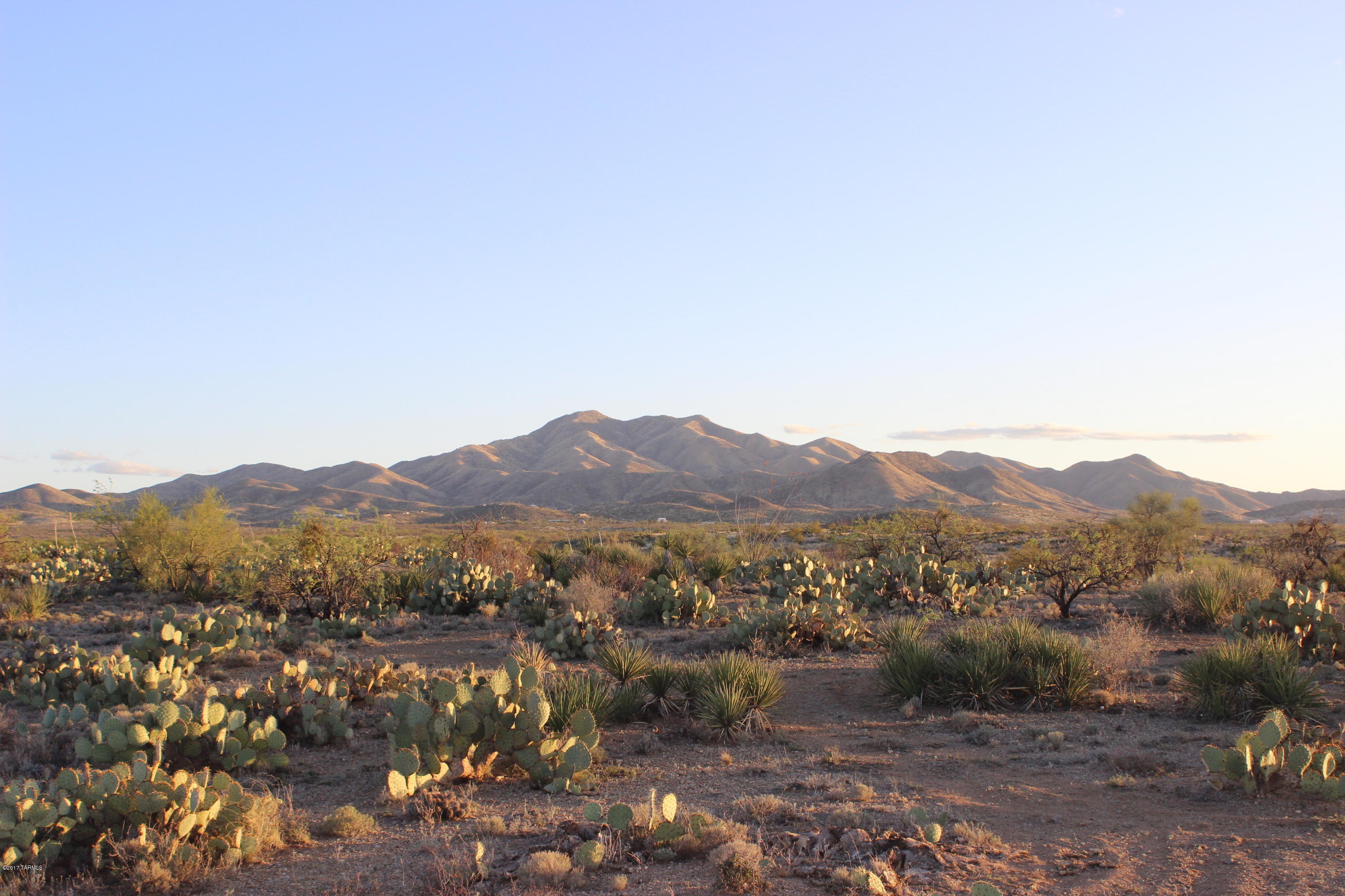 New Tucson Unit NO. 29 - Residential