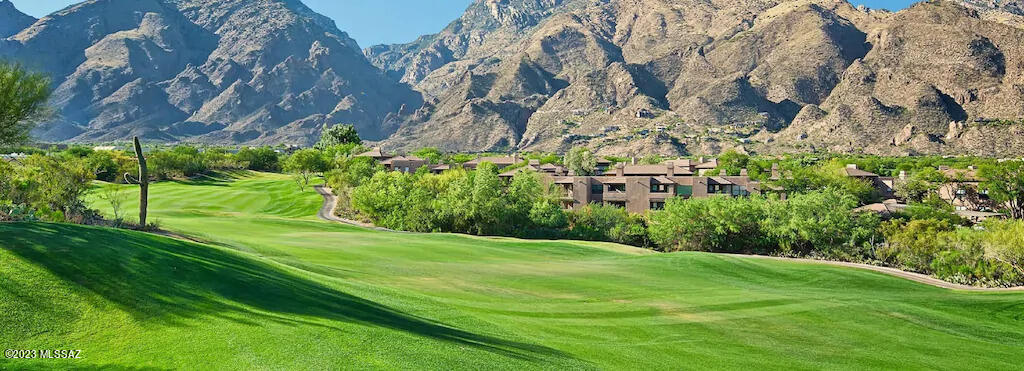 Greens at Ventana Canyon - Residential