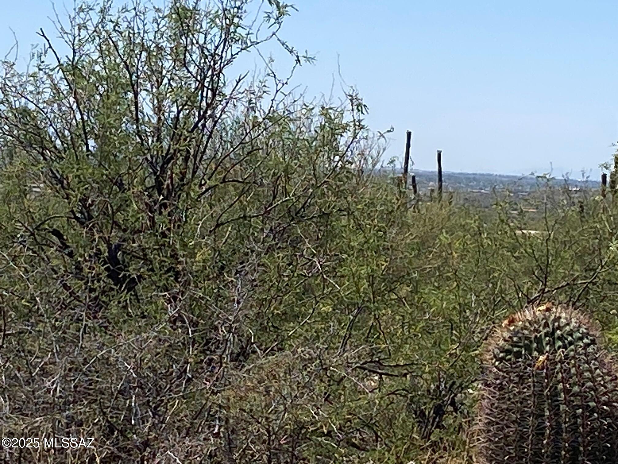 Fetzer Ranch (1-60) - Land