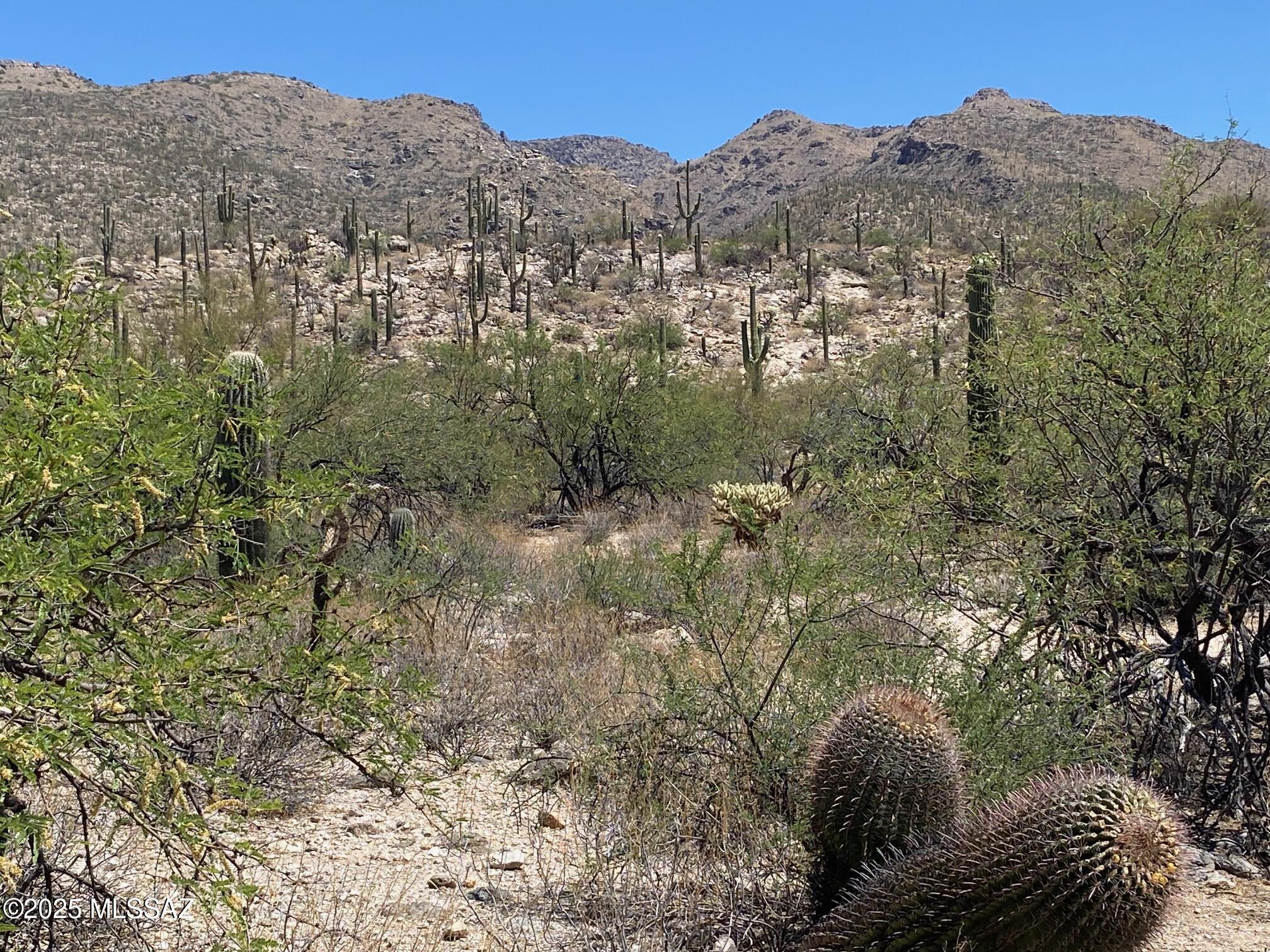 Fetzer Ranch (1-60) - Land