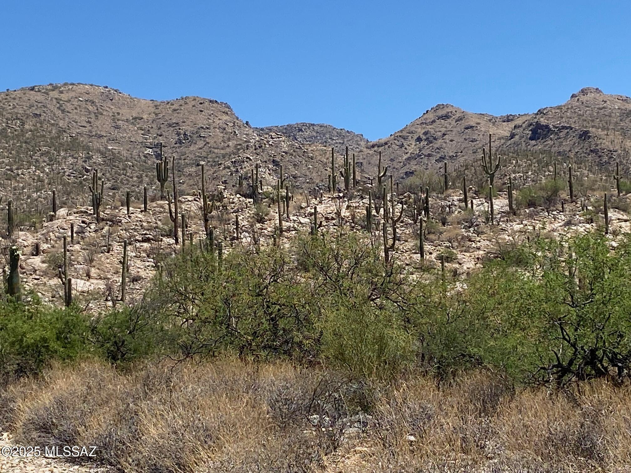 Fetzer Ranch (1-60) - Land
