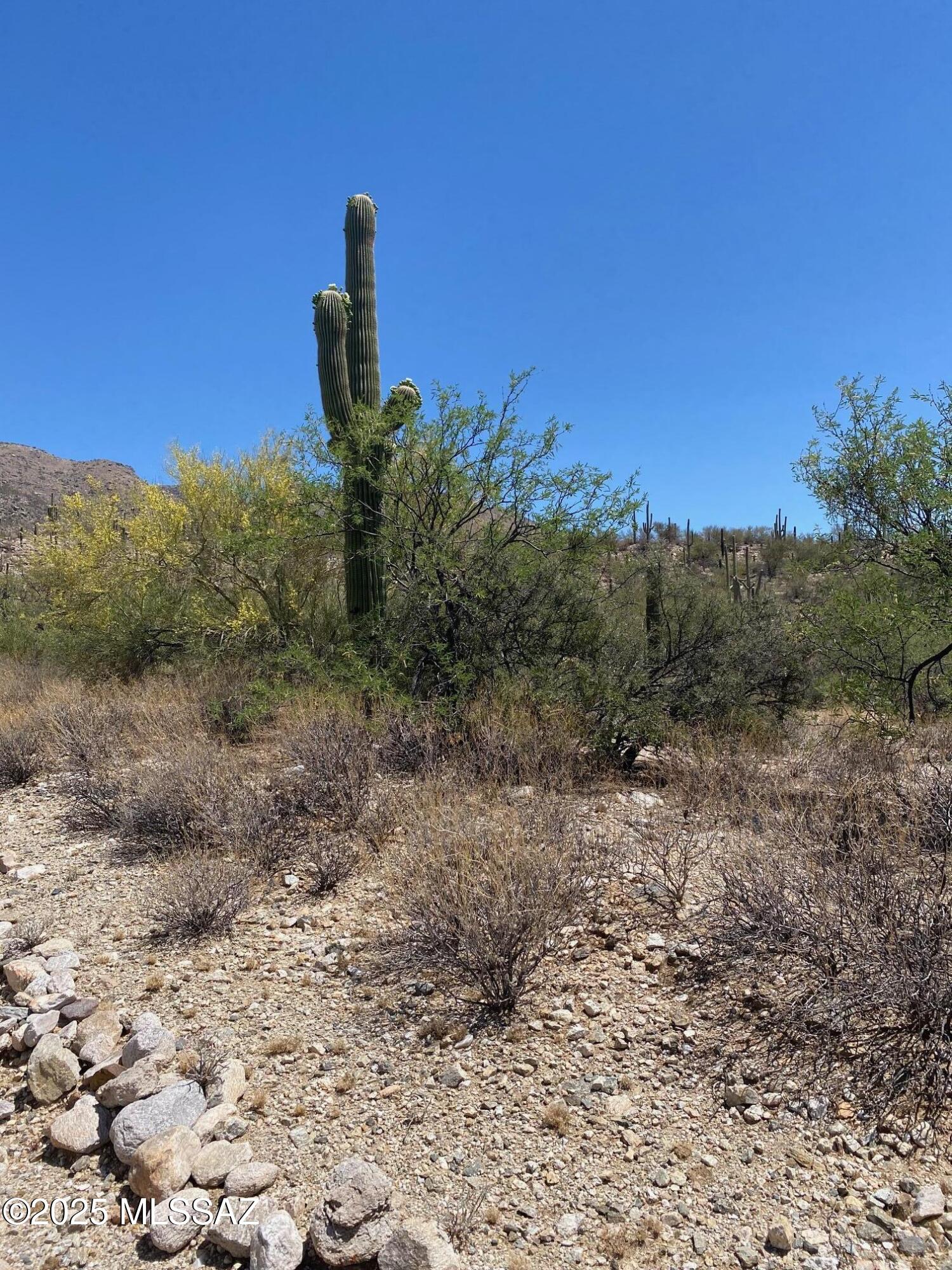 Fetzer Ranch (1-60) - Land