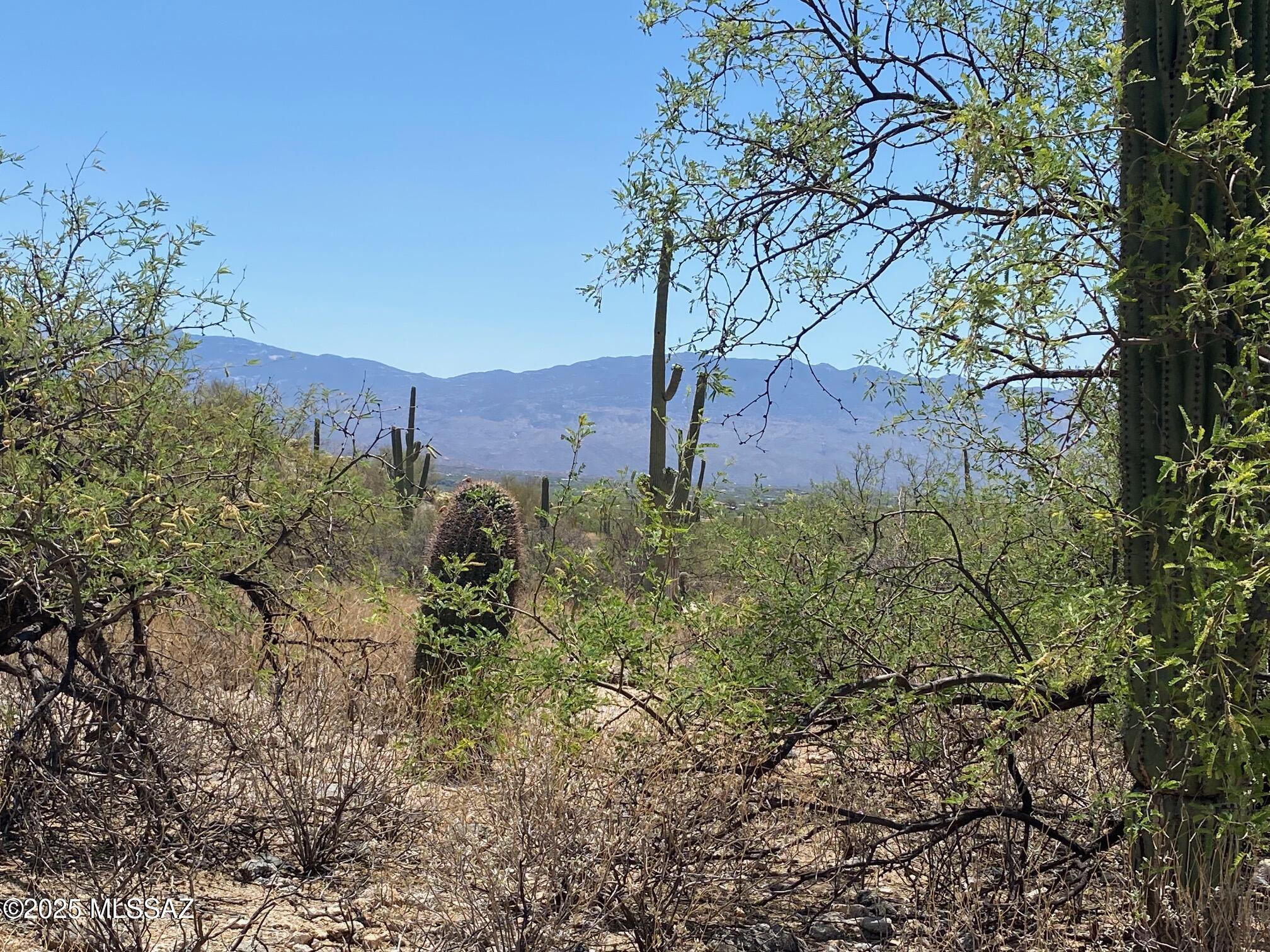 Fetzer Ranch (1-60) - Land