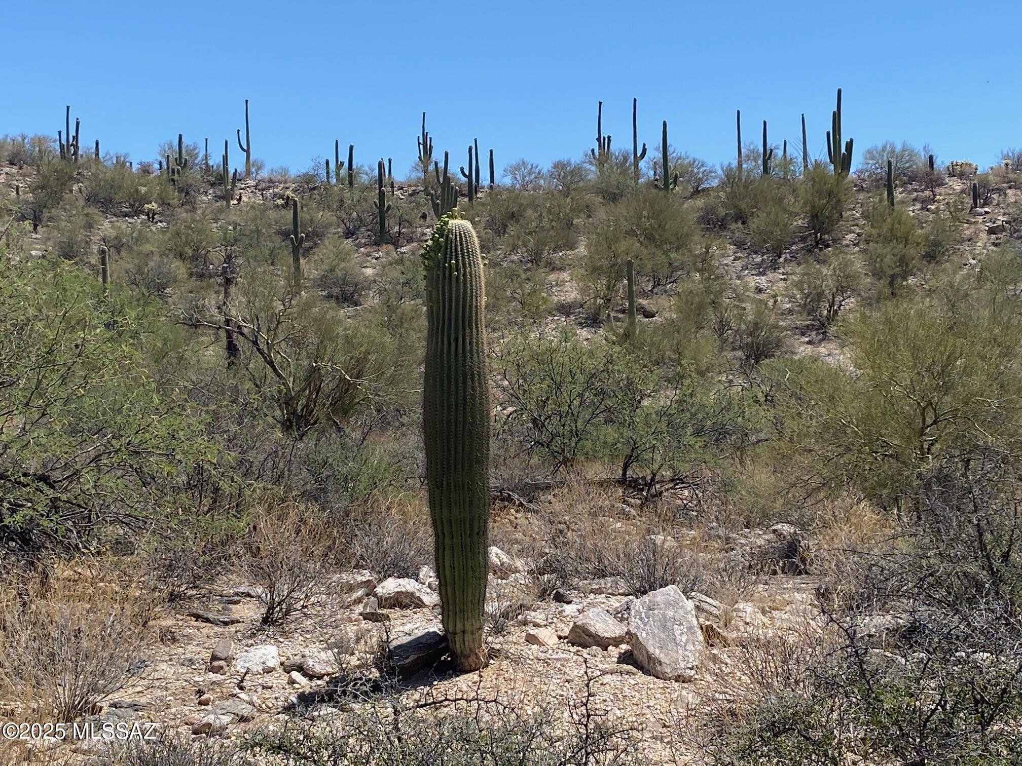 Fetzer Ranch (1-60) - Land