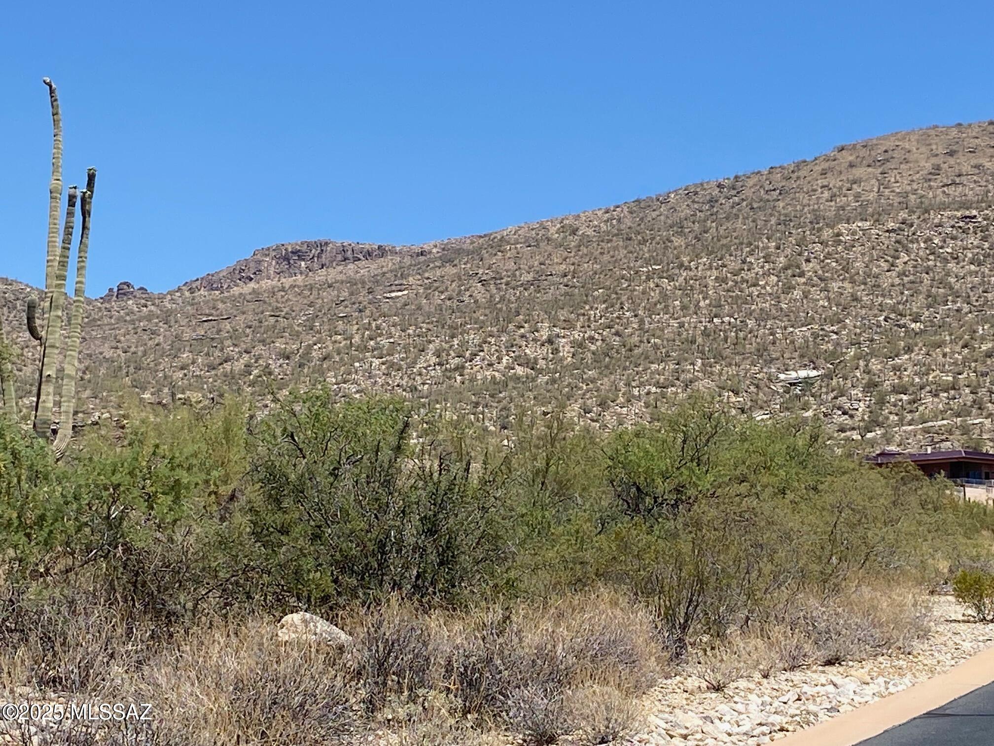 Fetzer Ranch (1-60) - Land
