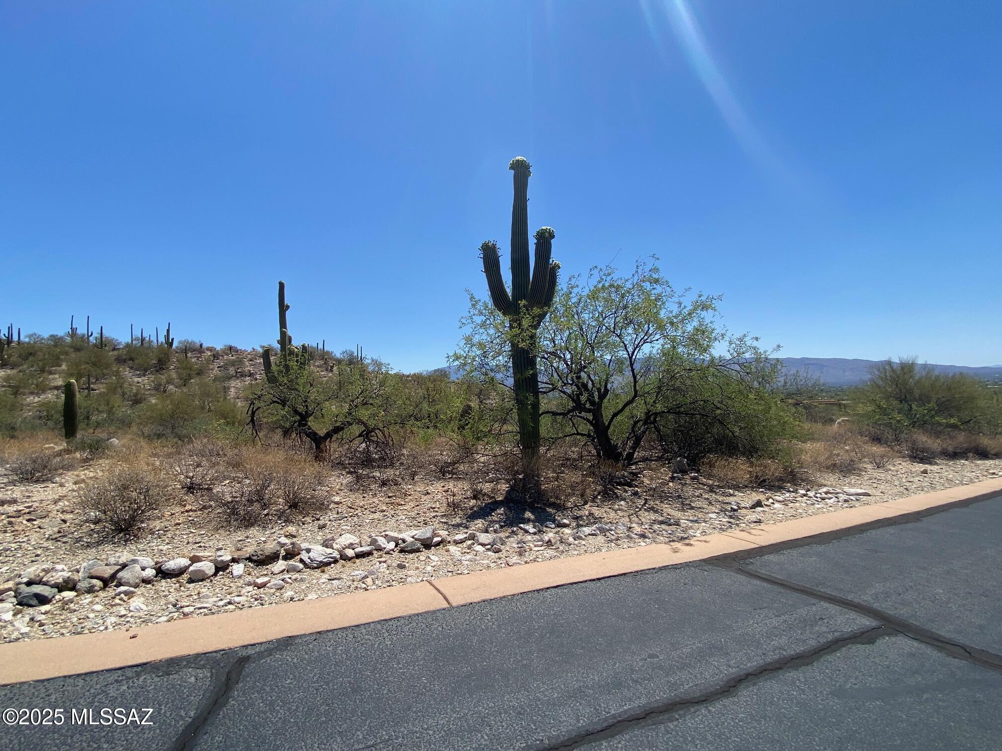 Fetzer Ranch (1-60) - Land