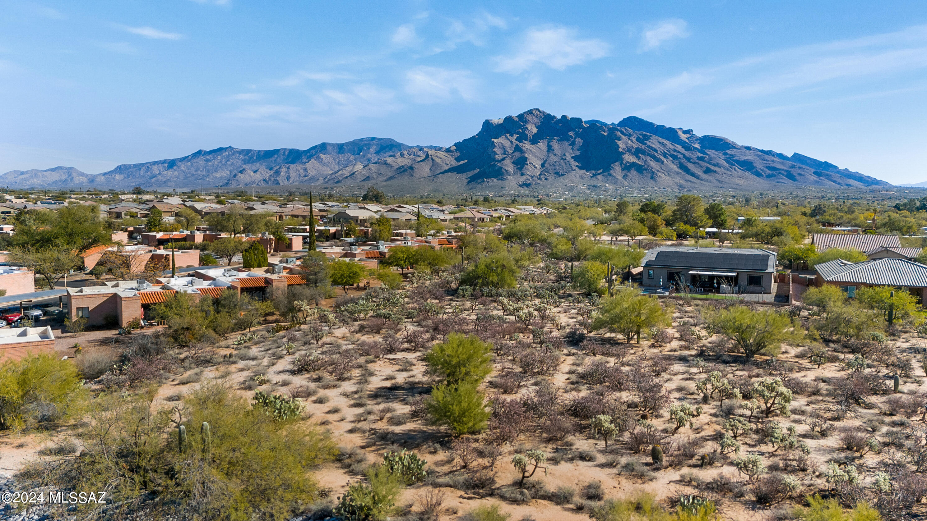 La Cholla Hills(1-313) - Residential