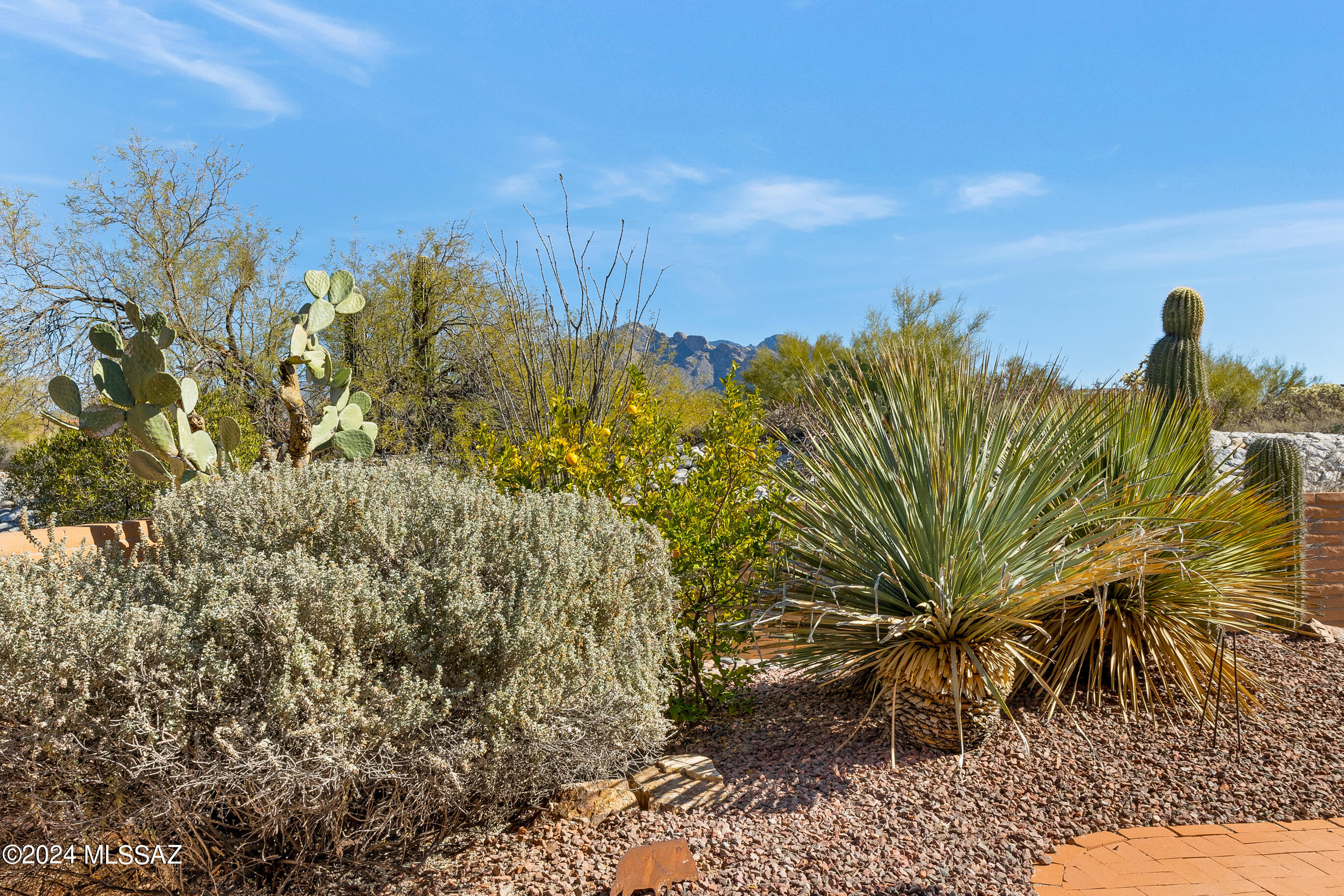 La Cholla Hills(1-313) - Residential