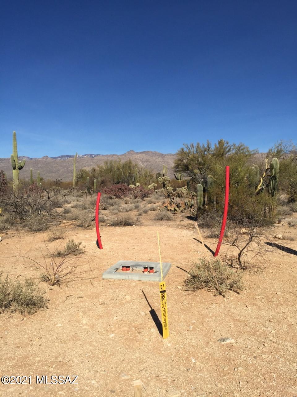 Wonderful property with great views! Nice buildable lot with all utilities, water, electric, & gas to the lot line.  Studded with giant Saguaros and Lush desert!  Views of the Catalina and Rincon Mountains!  Come take a look.