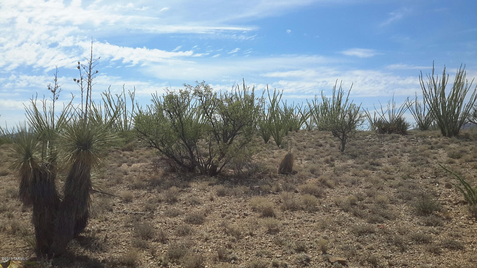 New Tucson Unit NO. 25 - Land