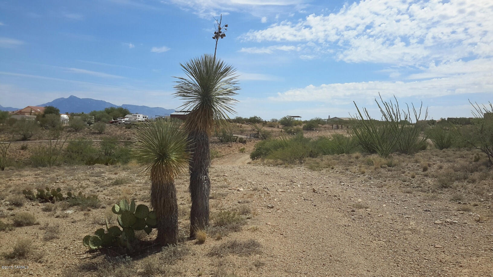 New Tucson Unit NO. 25 - Land