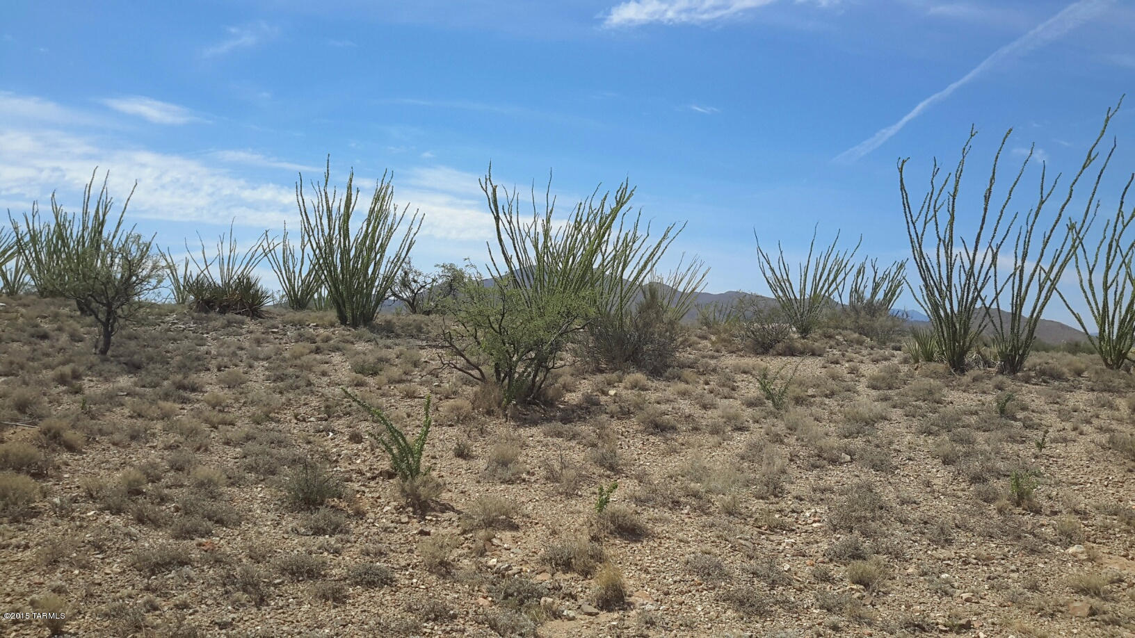 New Tucson Unit NO. 25 - Land