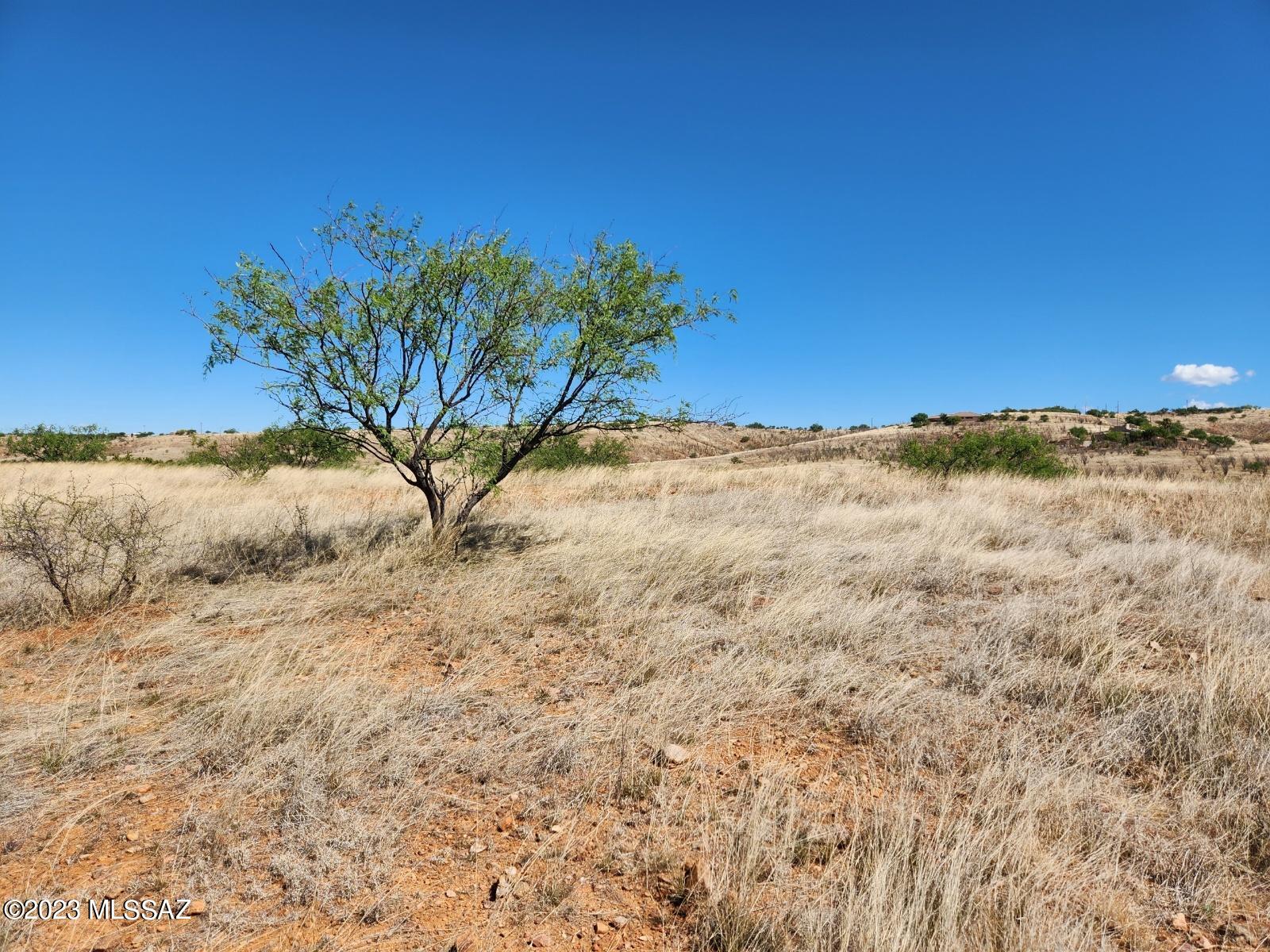 Lake Patagonia Ranch - Land
