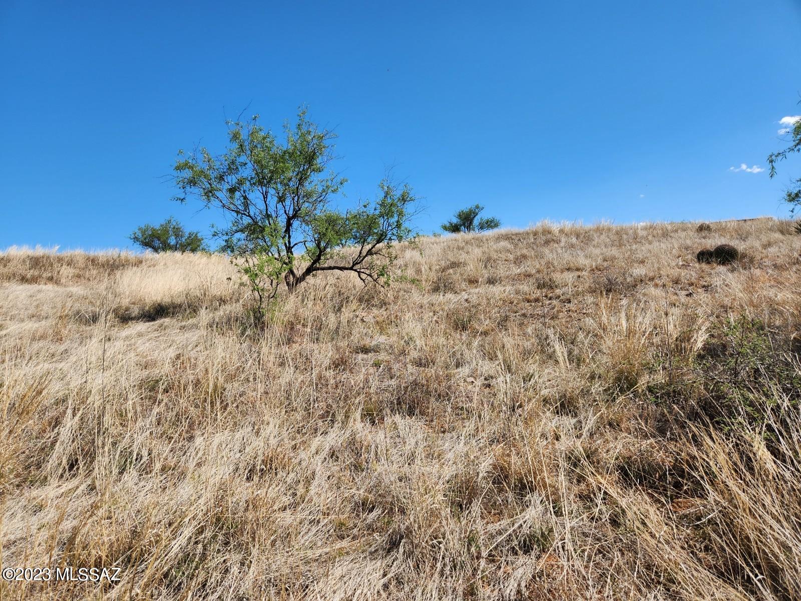Lake Patagonia Ranch - Land