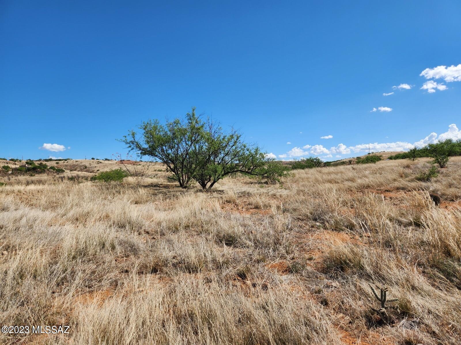 Lake Patagonia Ranch - Land