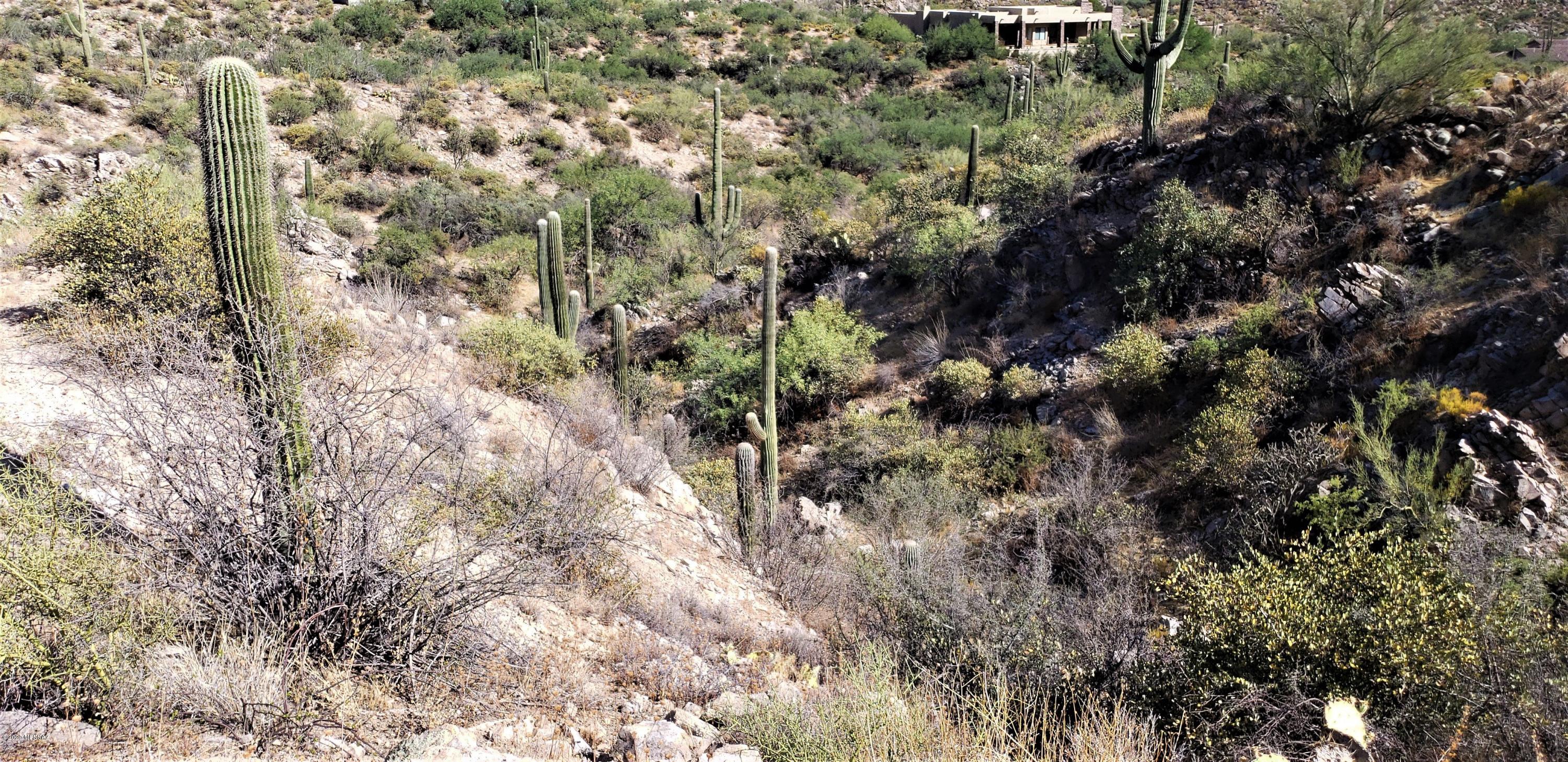 Canyon Pass III At Dove Mountain (111-181) - Land