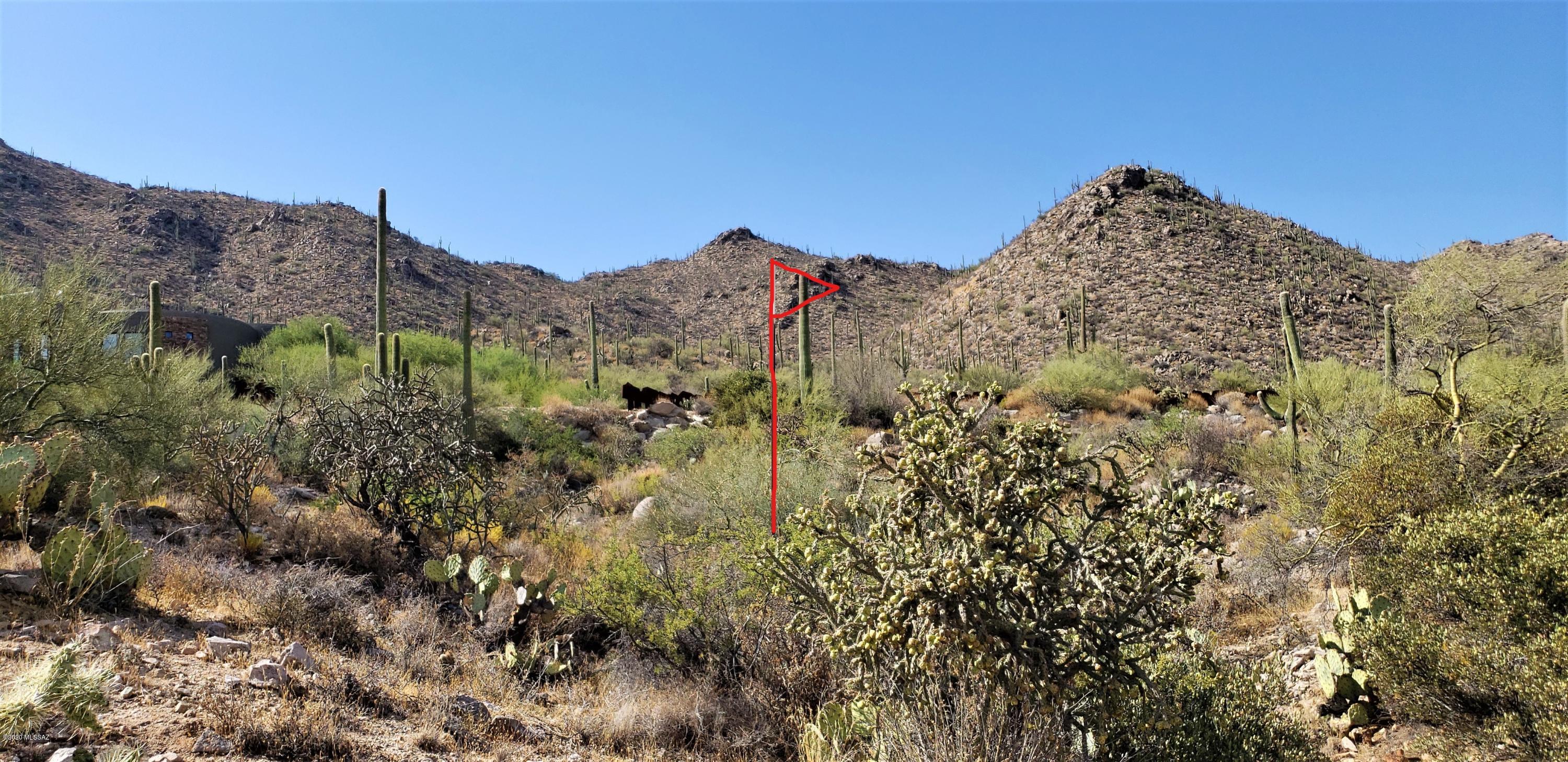 Canyon Pass III At Dove Mountain (111-181) - Land