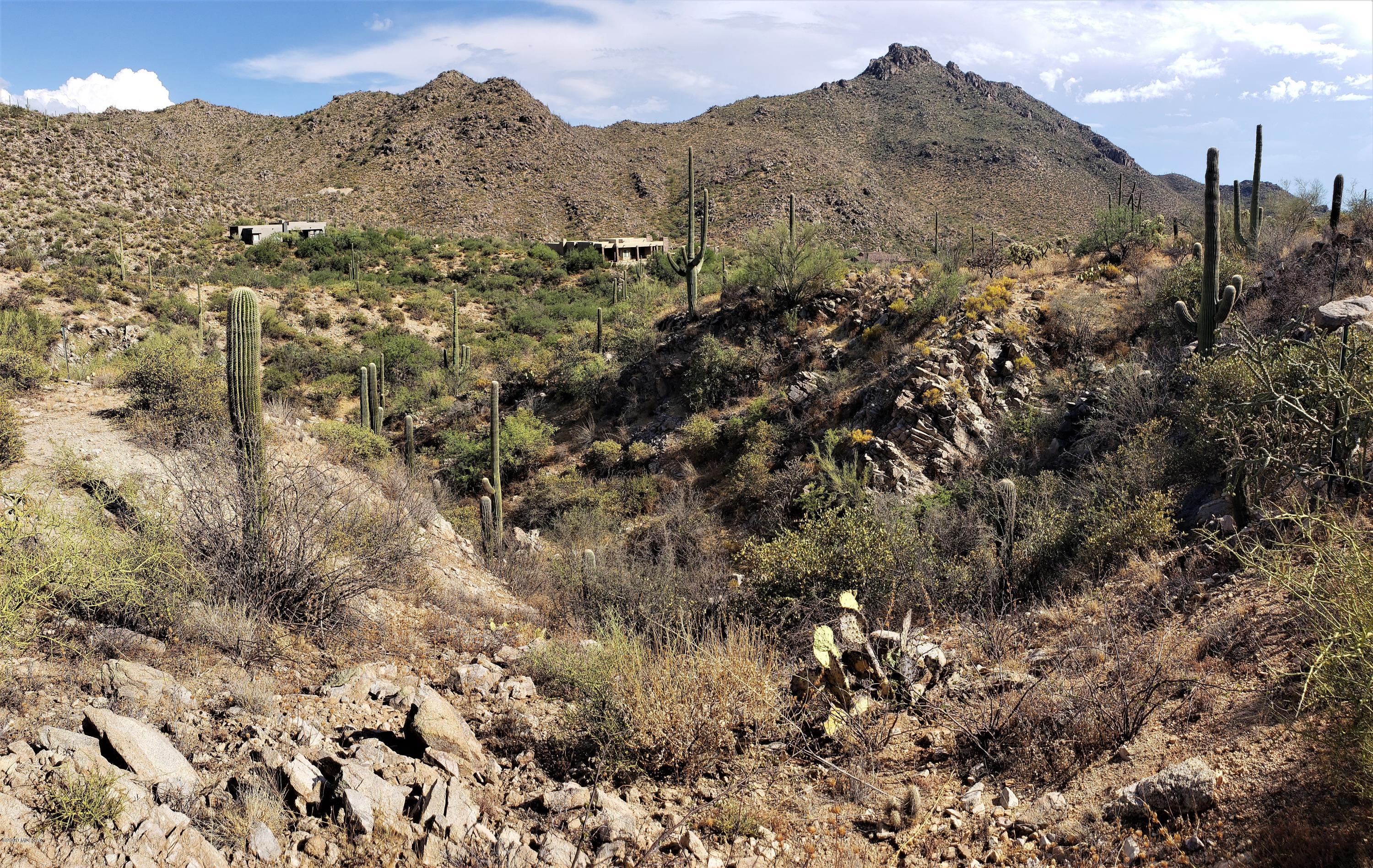 Canyon Pass III At Dove Mountain (111-181) - Land