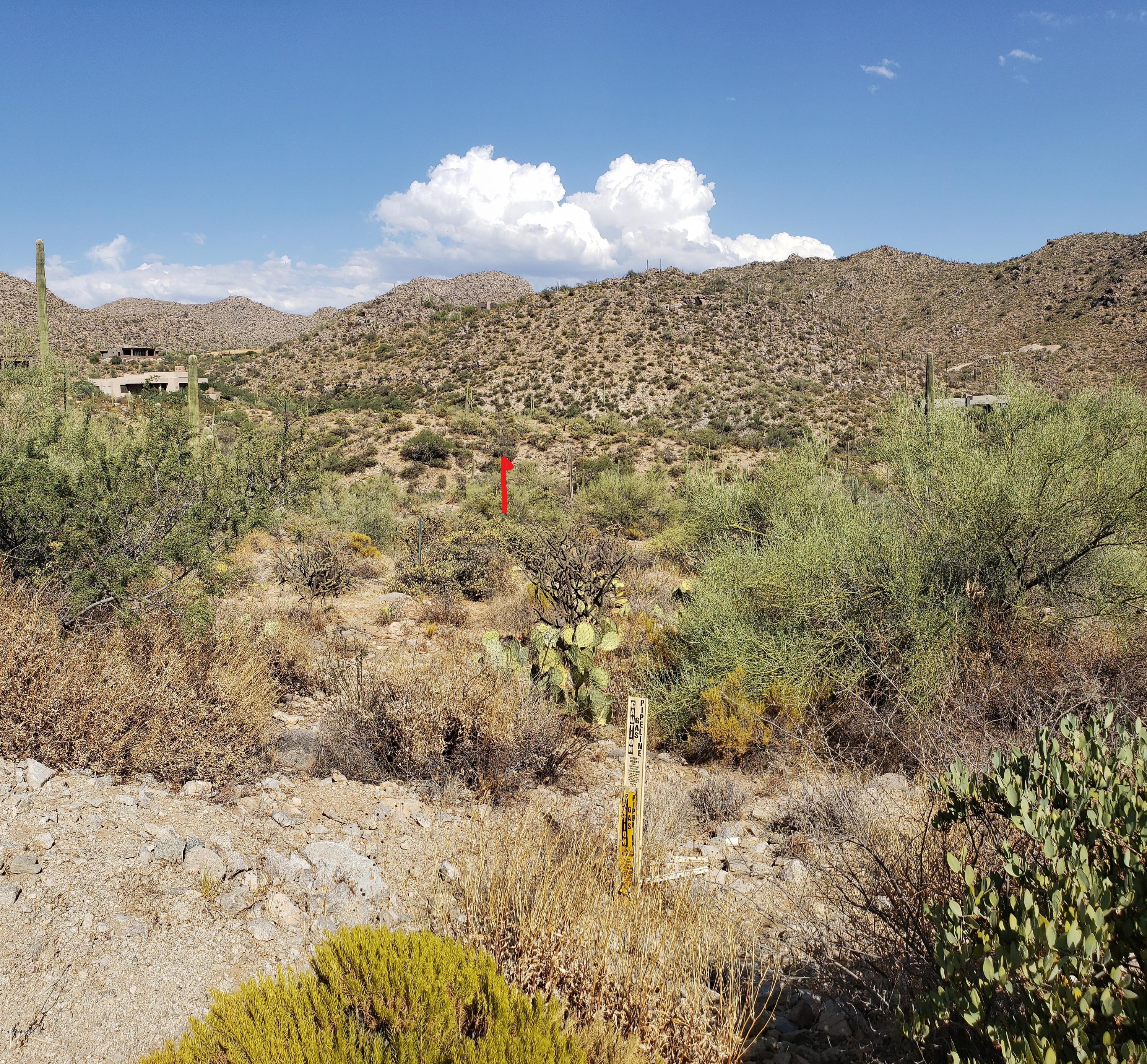 Canyon Pass III At Dove Mountain (111-181) - Land