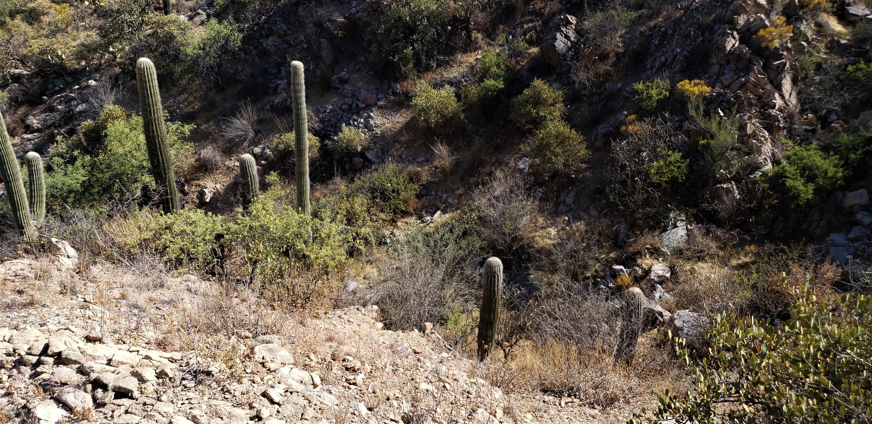 Canyon Pass III At Dove Mountain (111-181) - Land