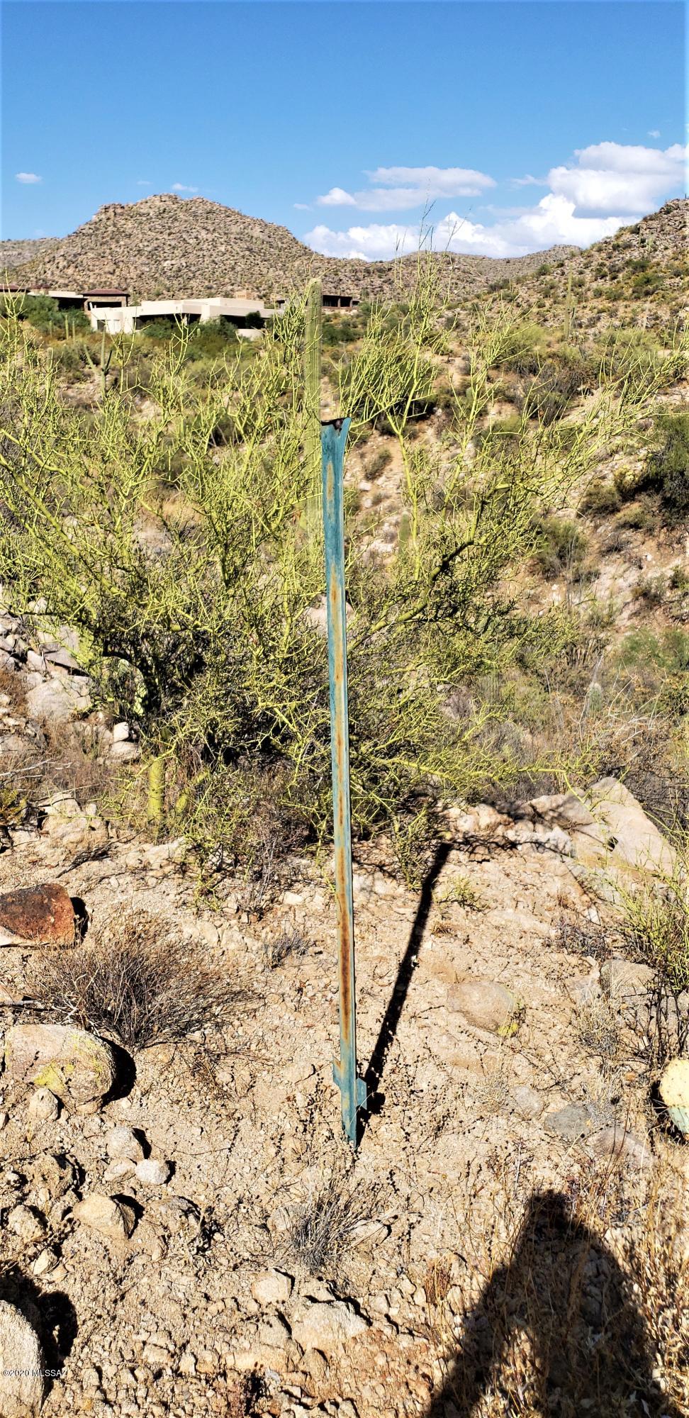 Canyon Pass III At Dove Mountain (111-181) - Land