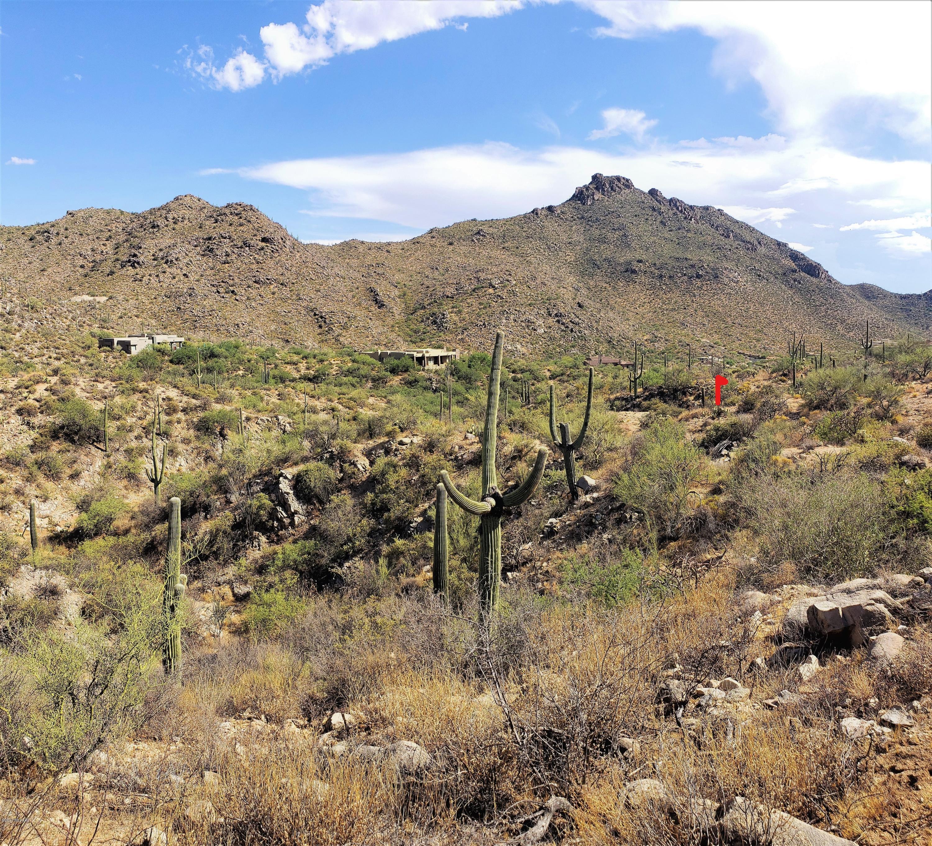 Canyon Pass III At Dove Mountain (111-181) - Land