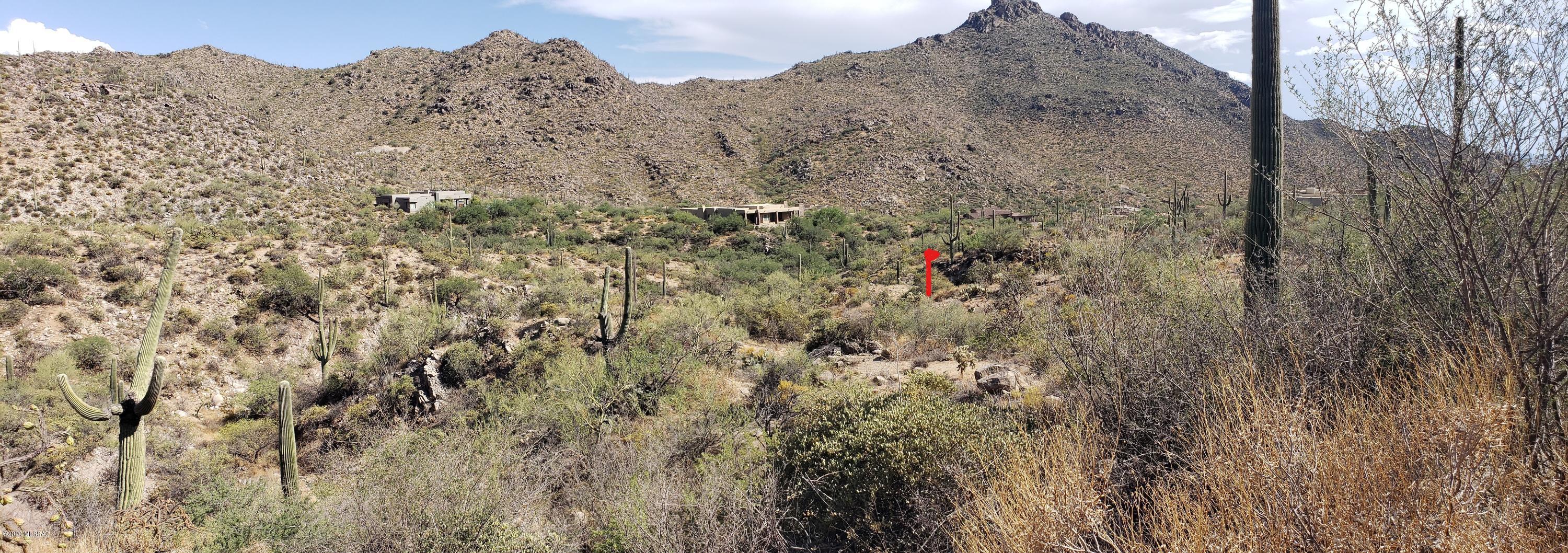 Canyon Pass III At Dove Mountain (111-181) - Land