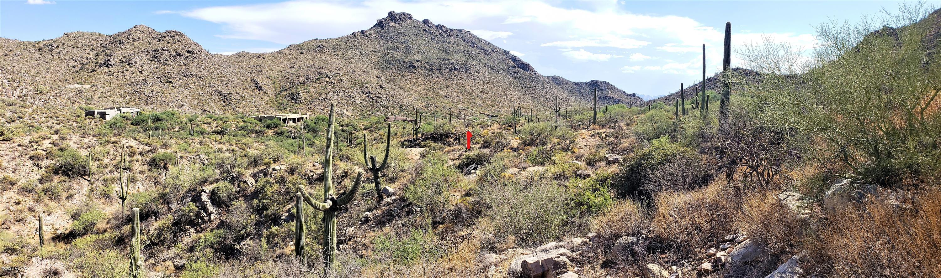 Canyon Pass III At Dove Mountain (111-181) - Land