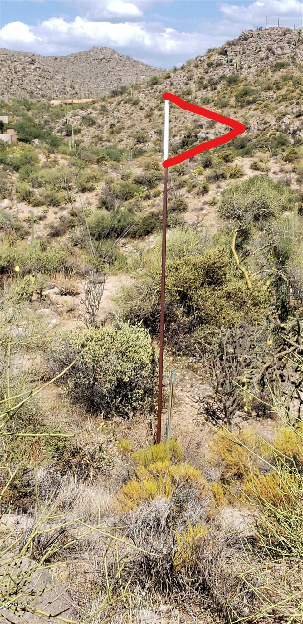 Canyon Pass III At Dove Mountain (111-181) - Land