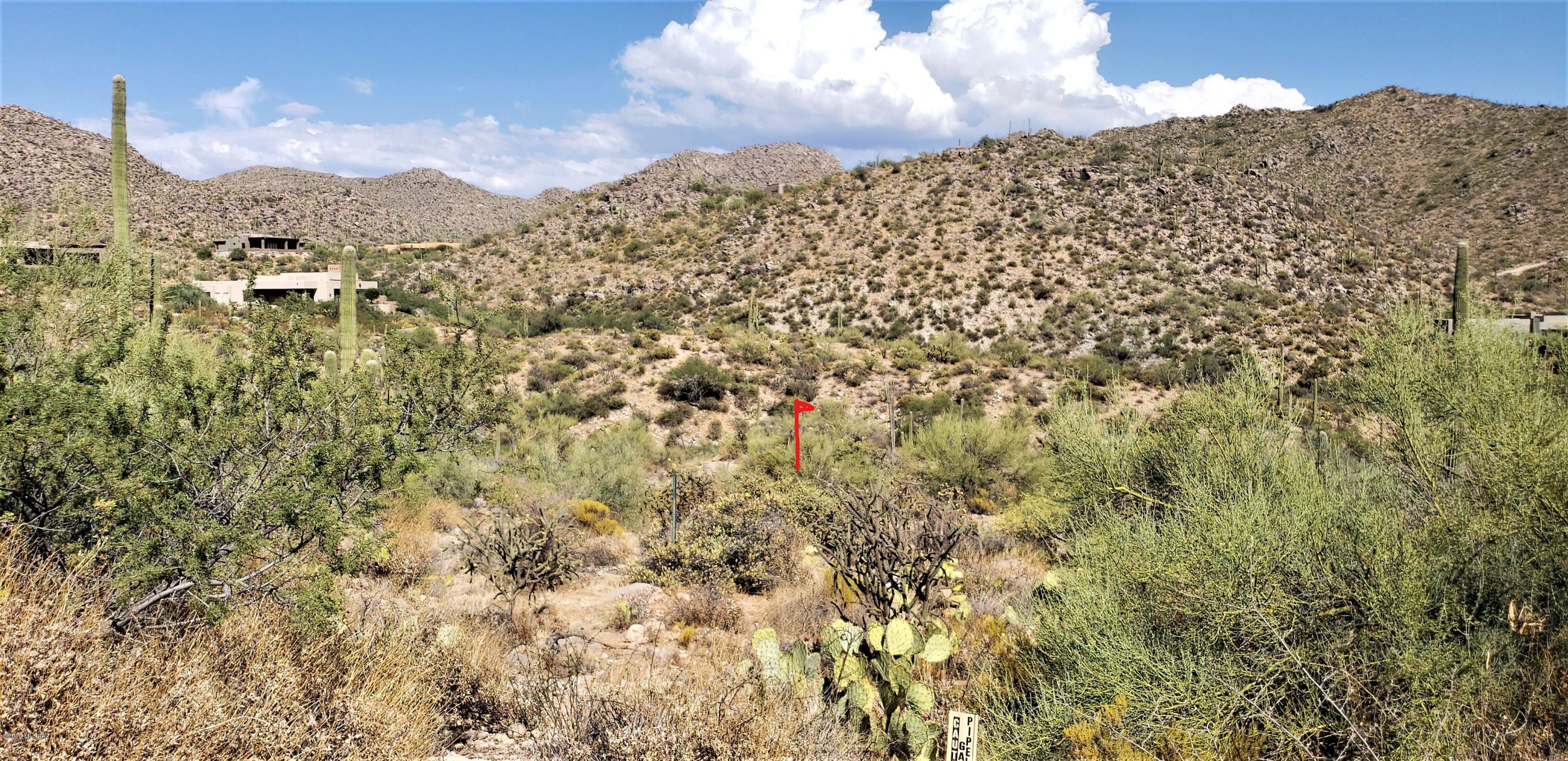 Canyon Pass III At Dove Mountain (111-181) - Land