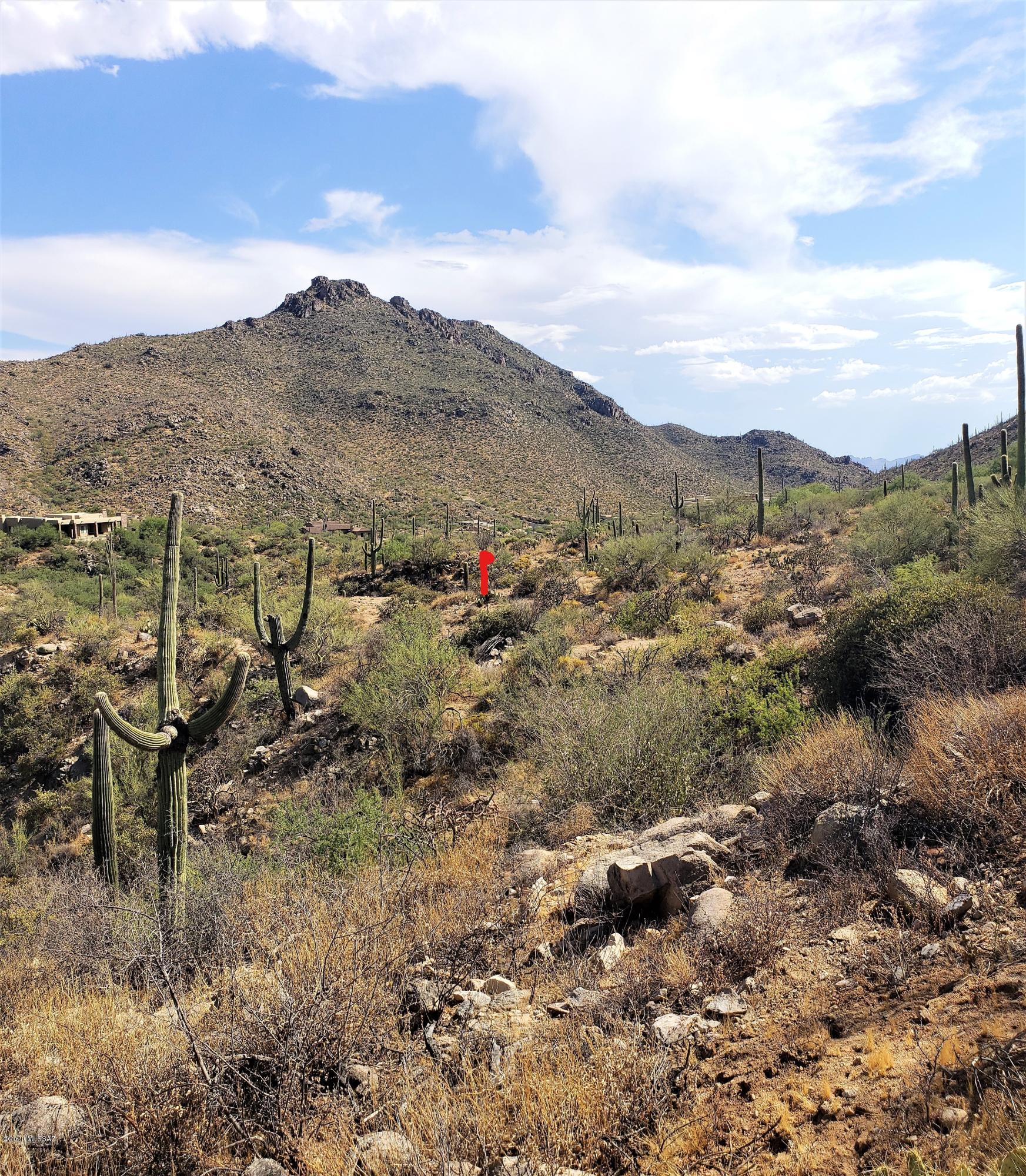 Canyon Pass III At Dove Mountain (111-181) - Land