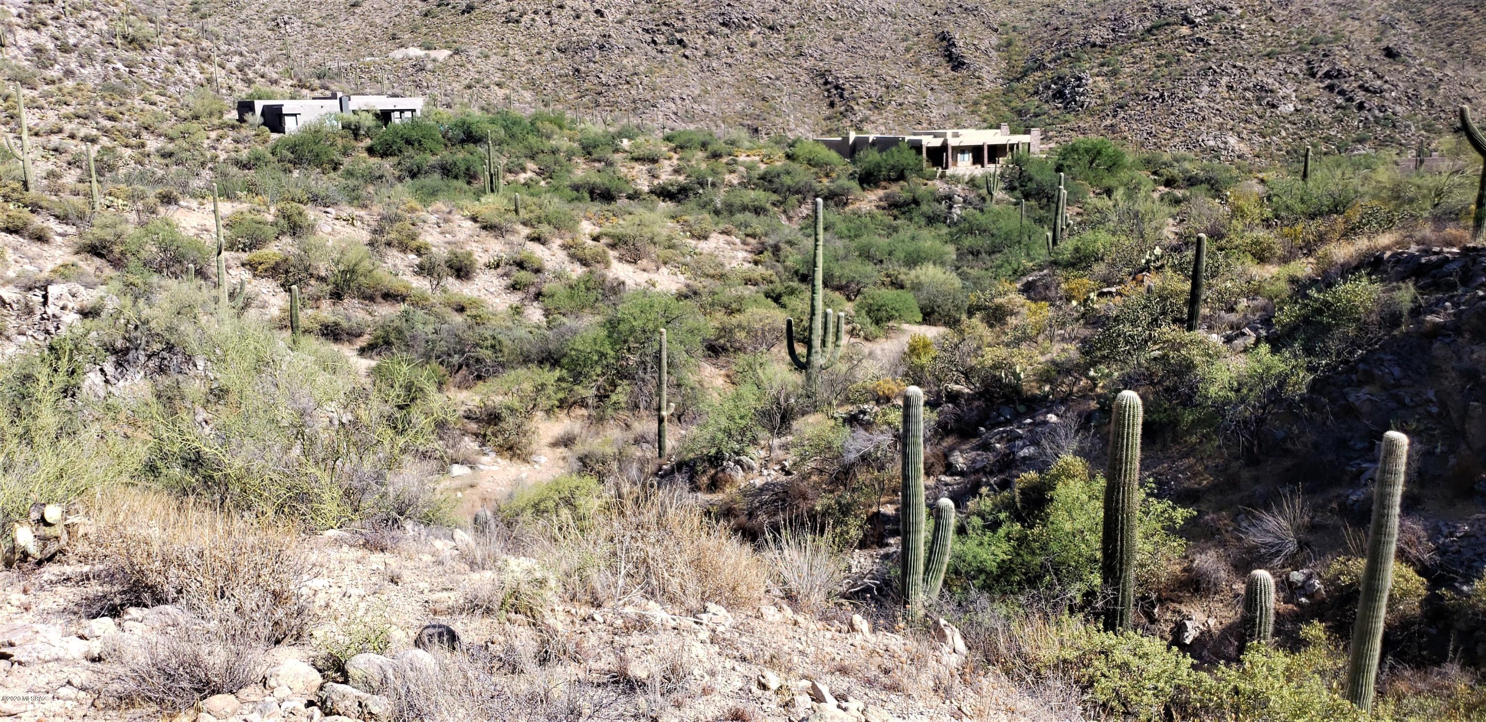 Canyon Pass III At Dove Mountain (111-181) - Land