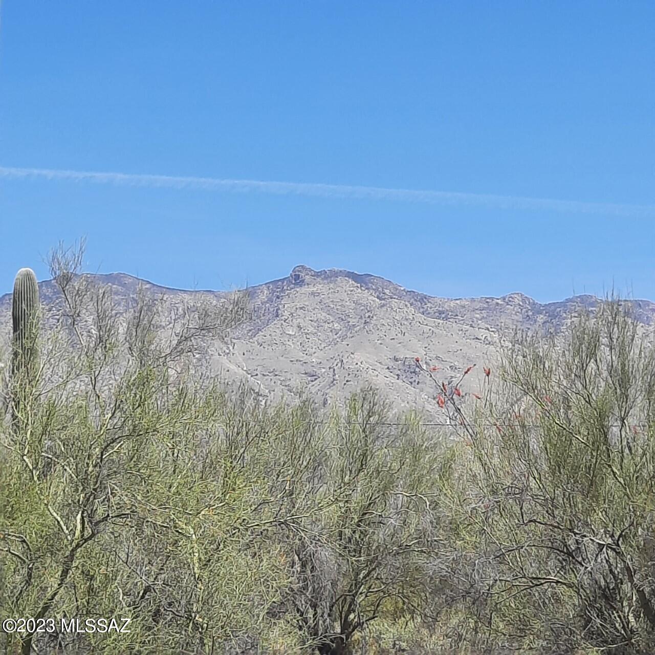 Catalina Foothills Estates - Land