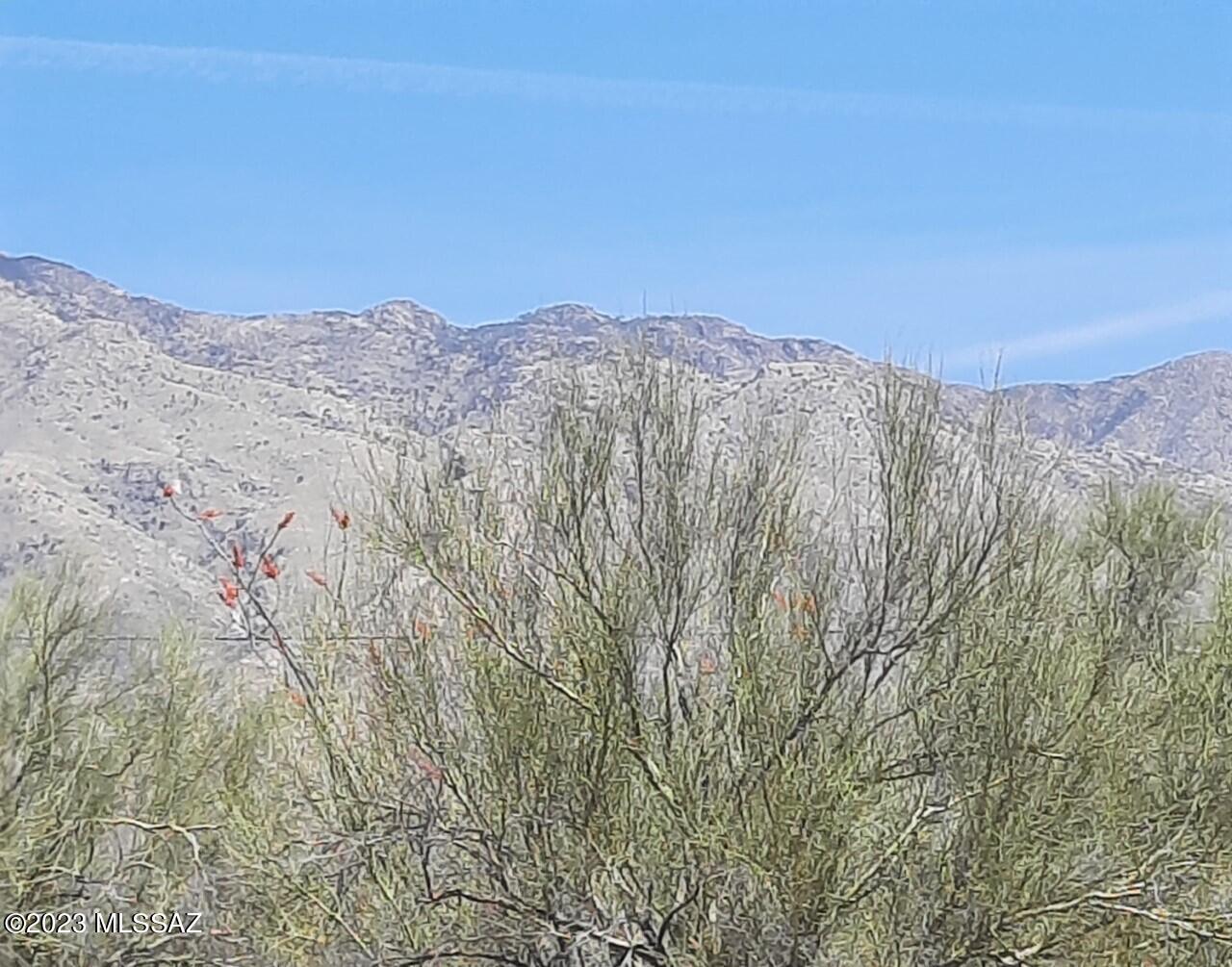 Catalina Foothills Estates - Land